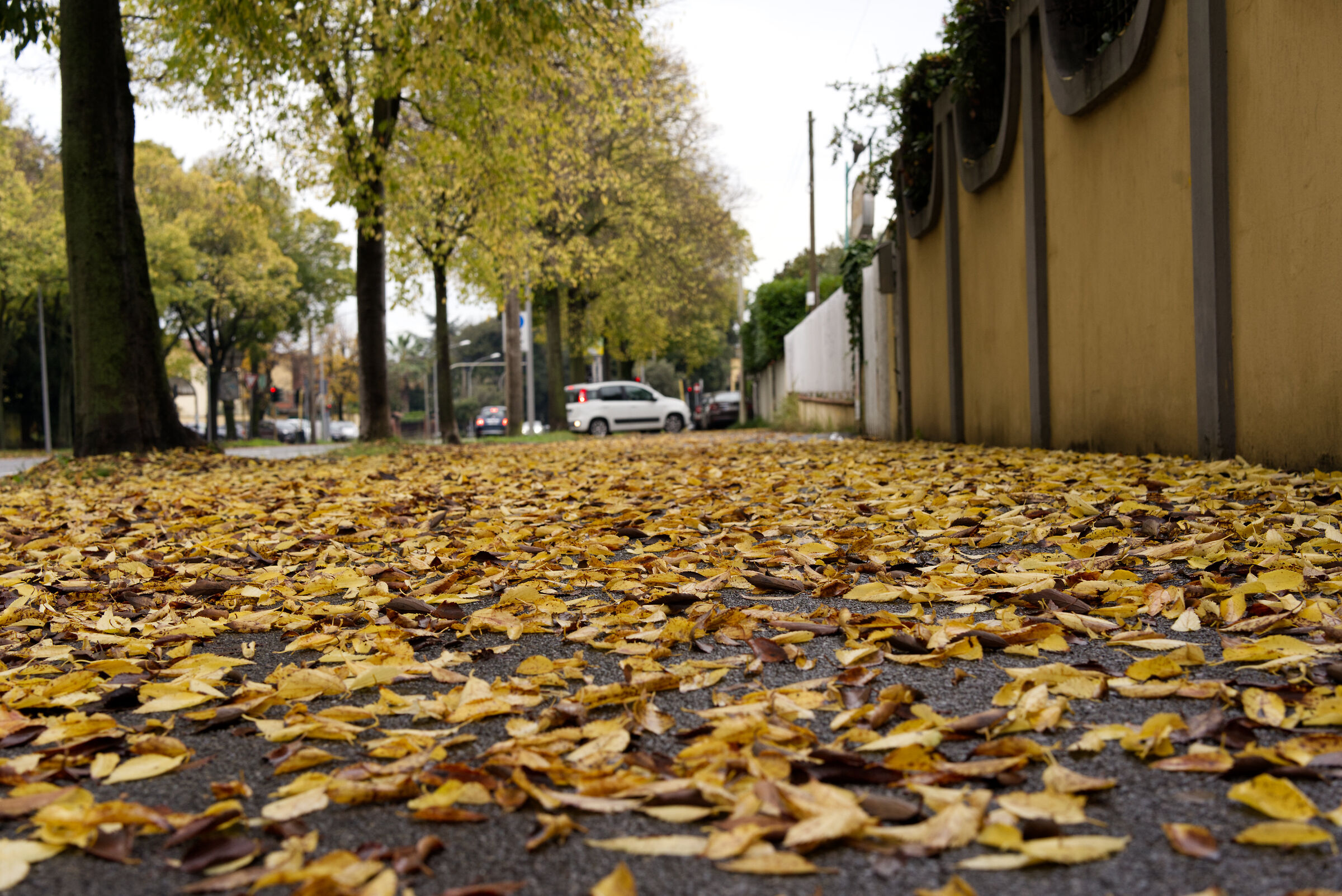 Autumn