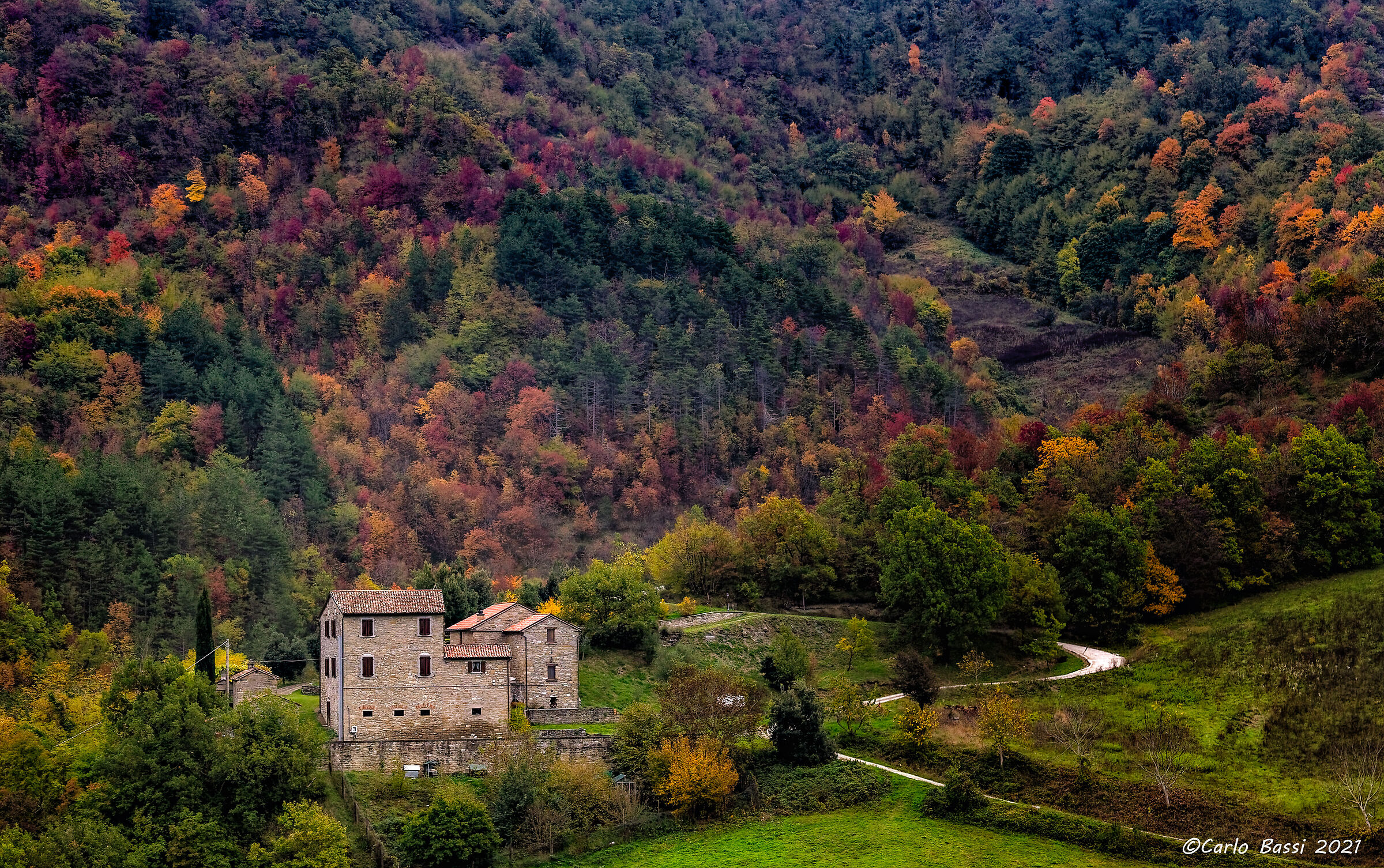 Foliage to the Casentino forests