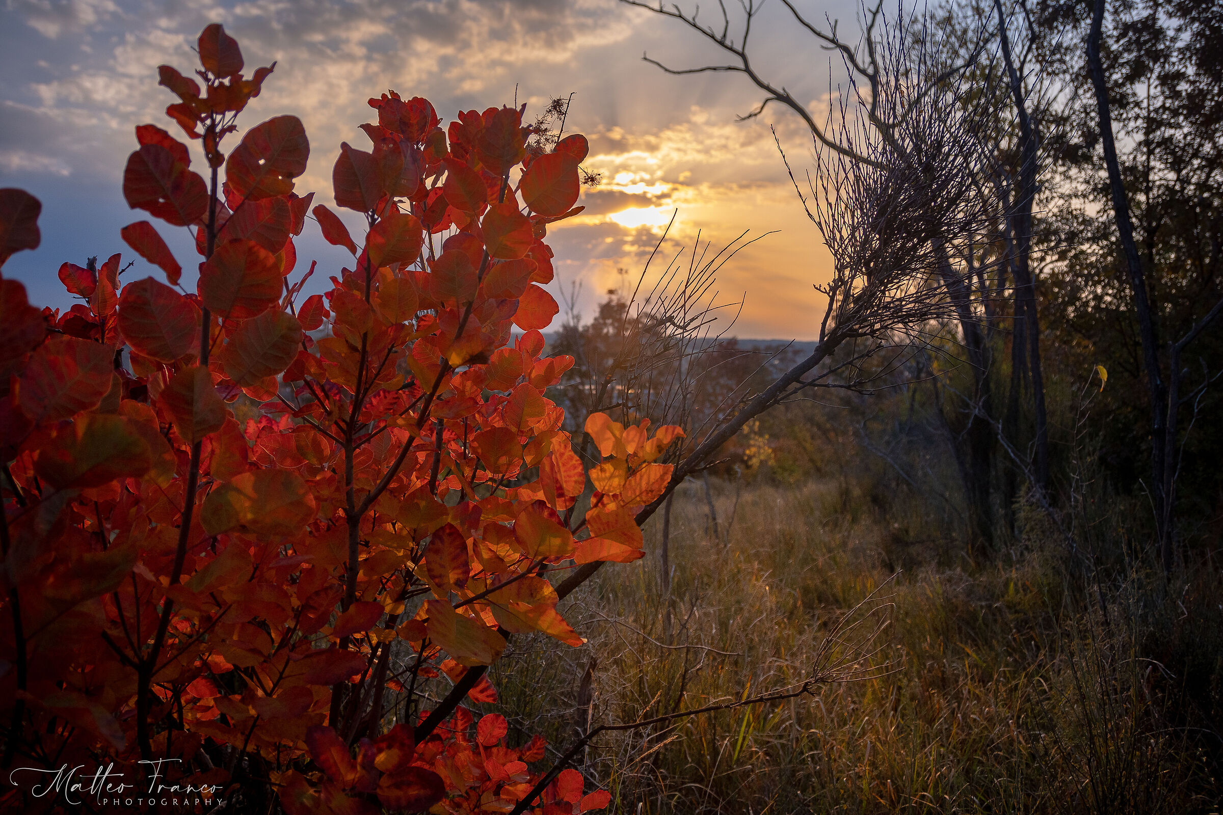 Autumn