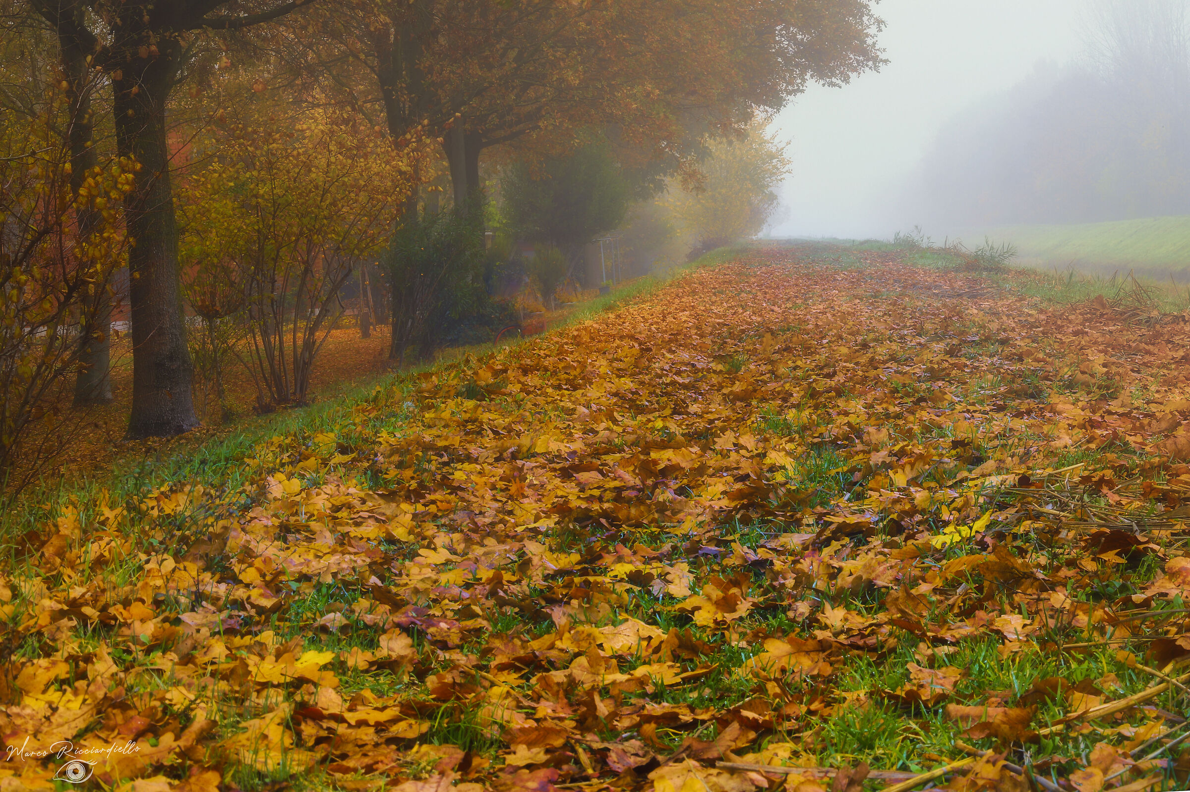 Untitled Photo