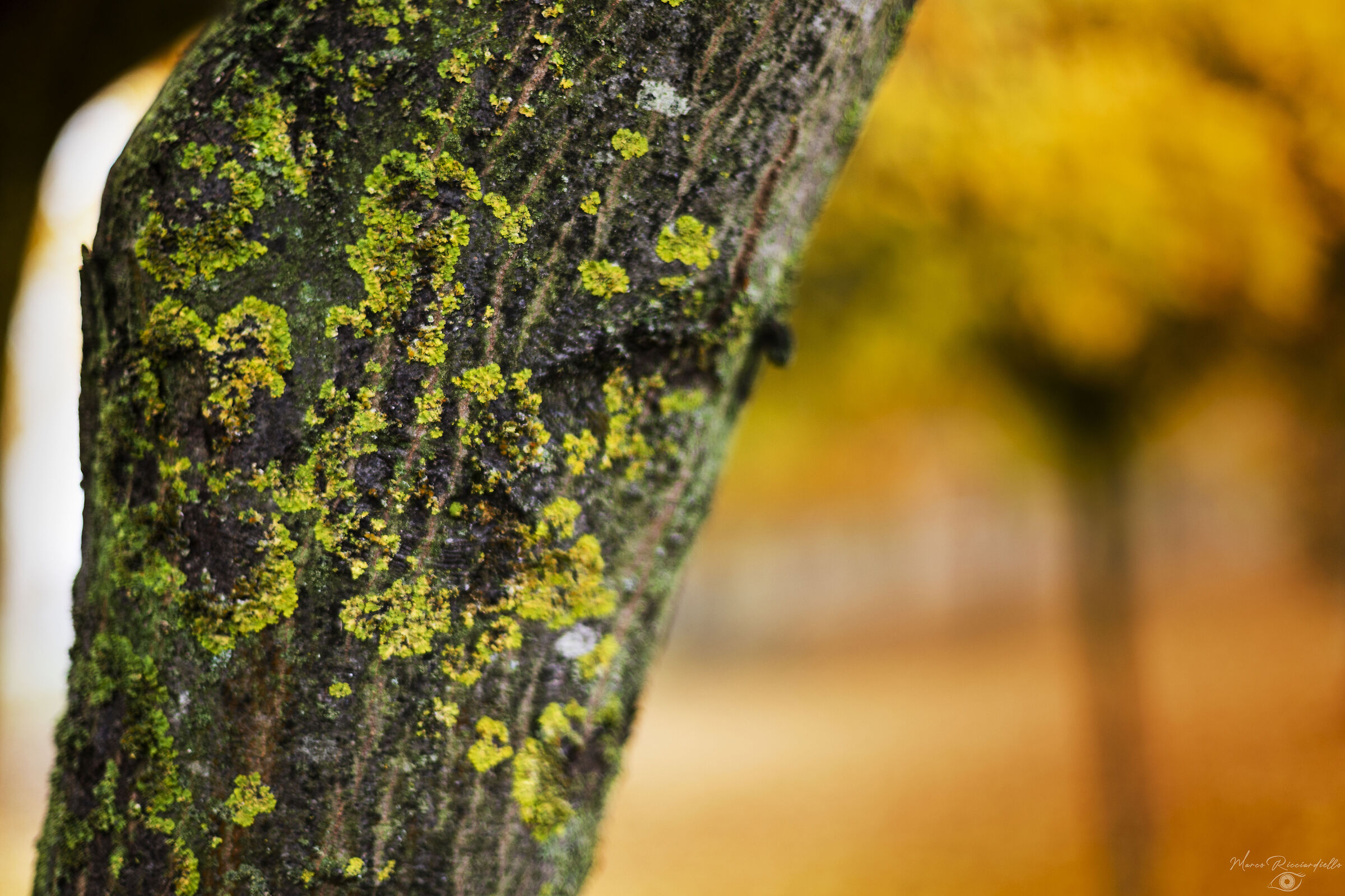 Untitled Photo