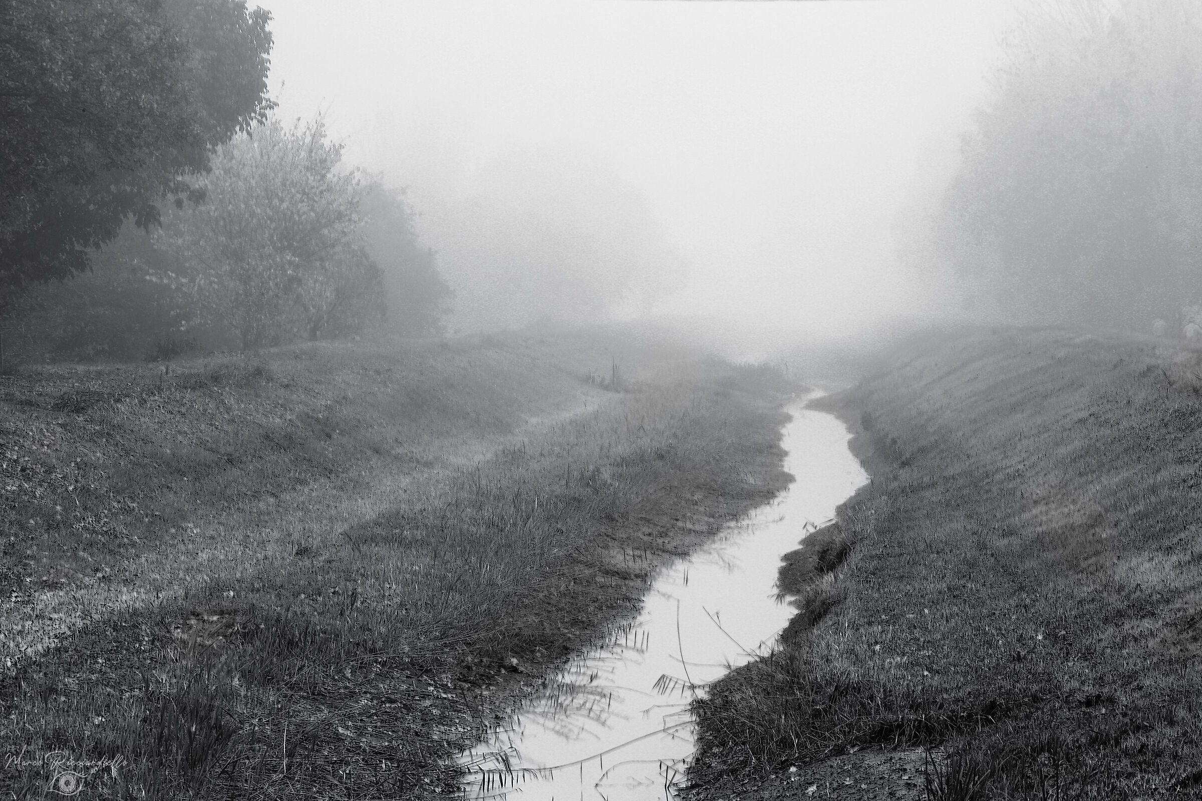 Untitled Photo