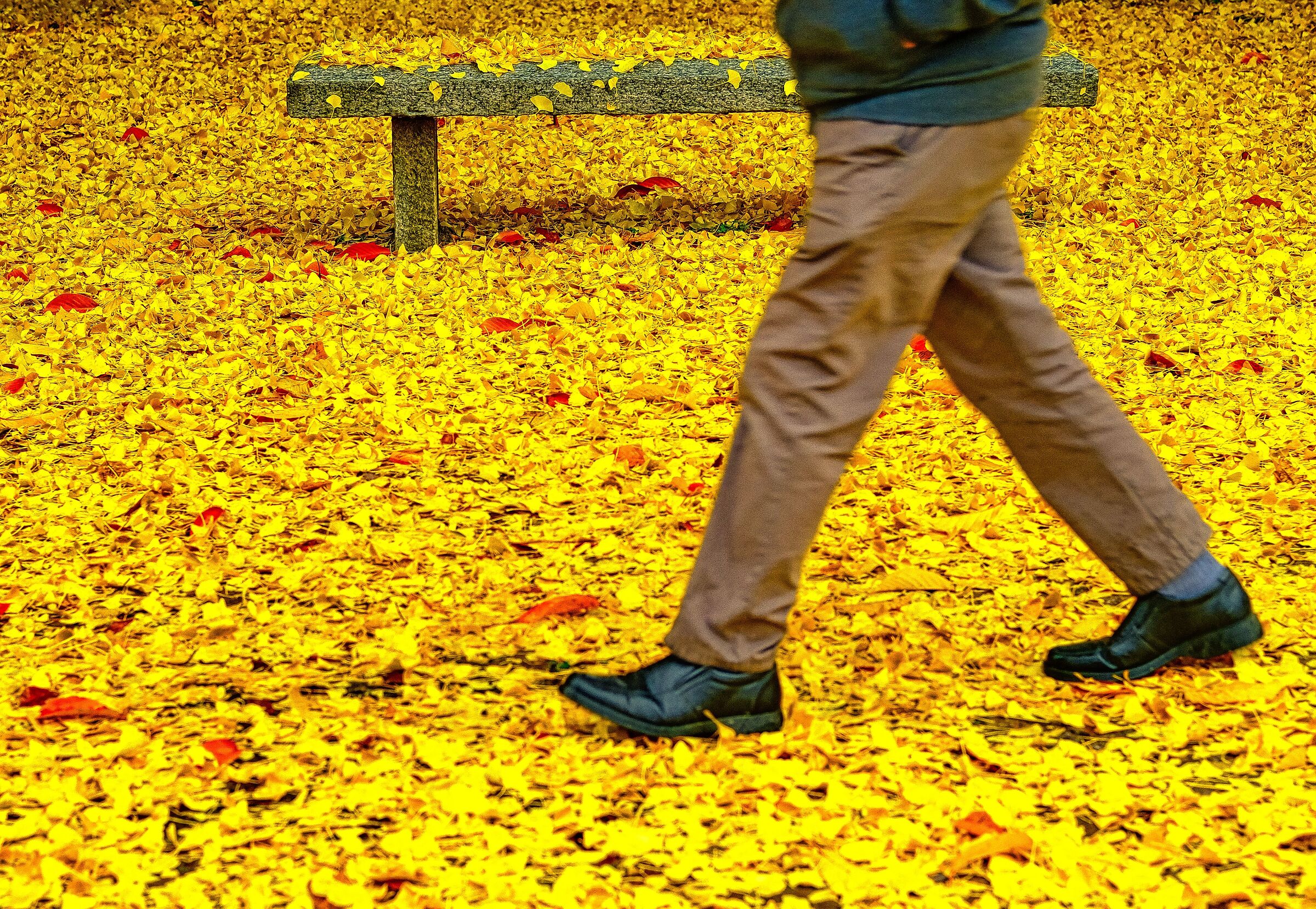 Due passi nel colore