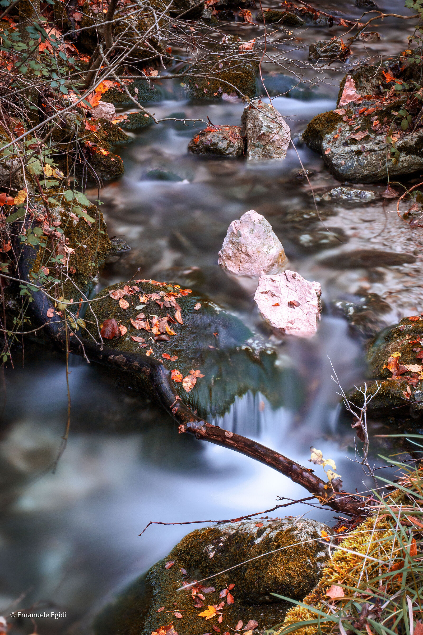 Stream and its autumn shades