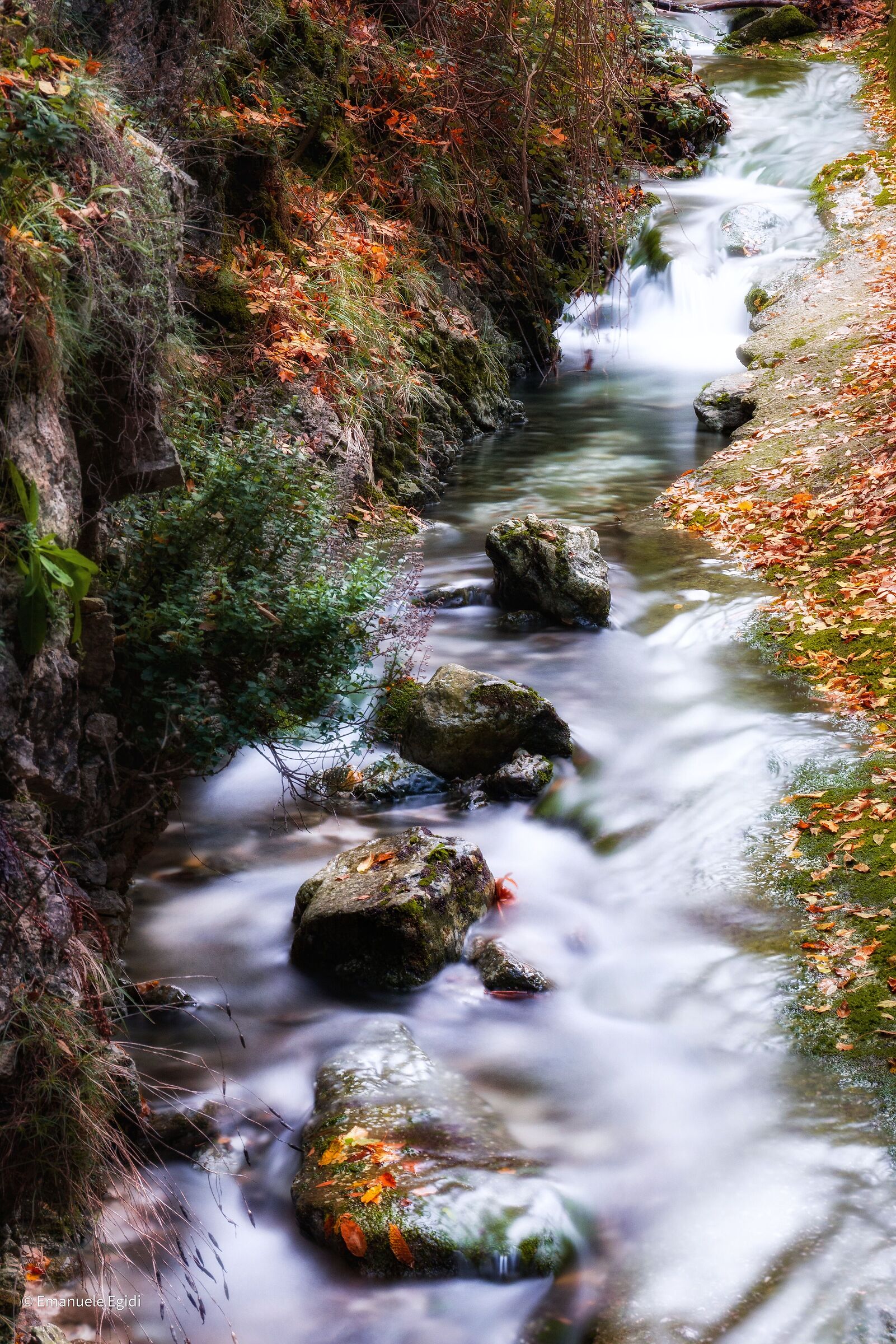 Autumn