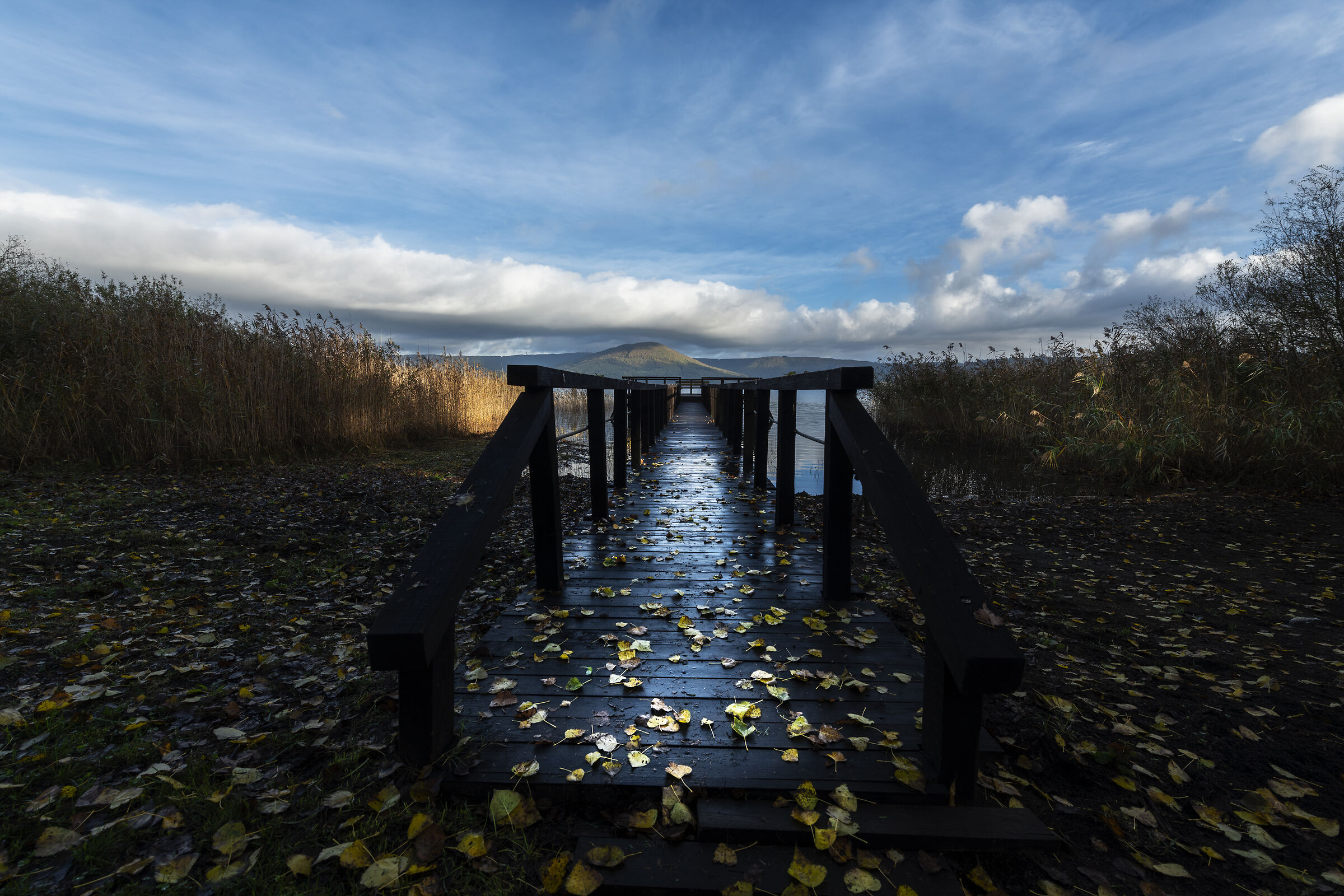 a step towards the....