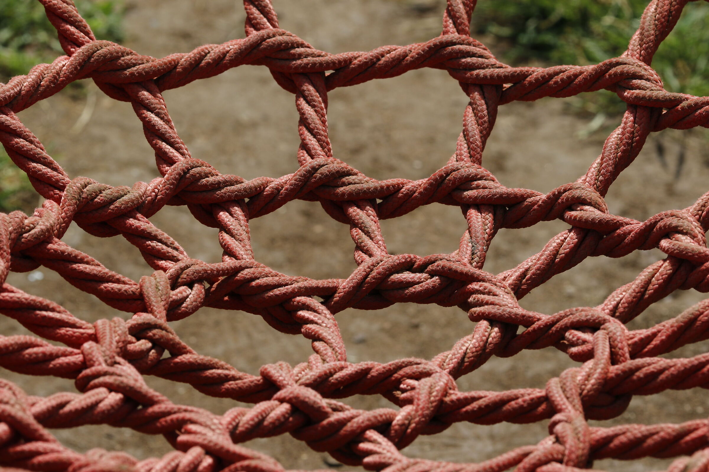 Canon 7d ii / 135 F.2 L