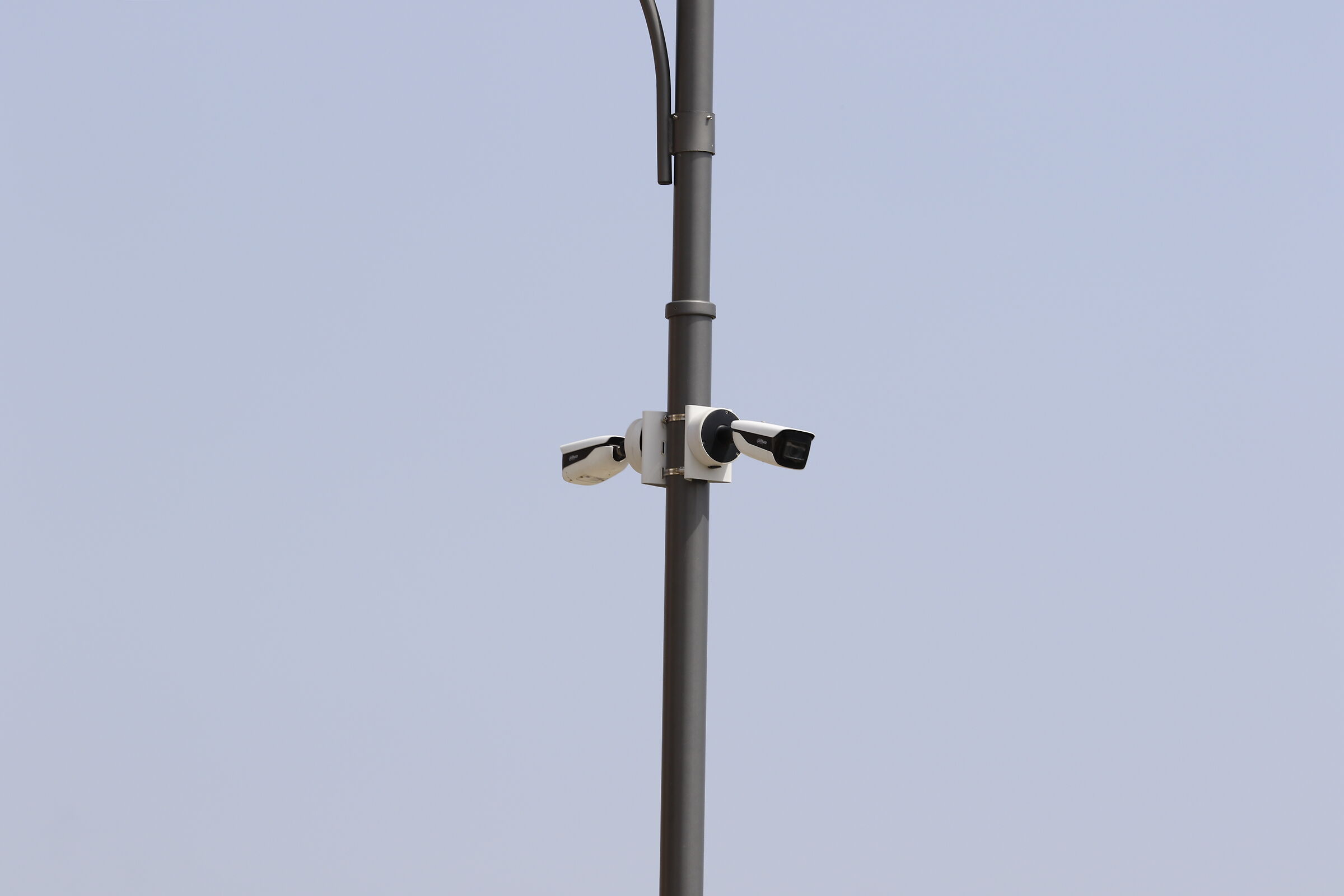 Canon 7d ii / 135 F.2 L