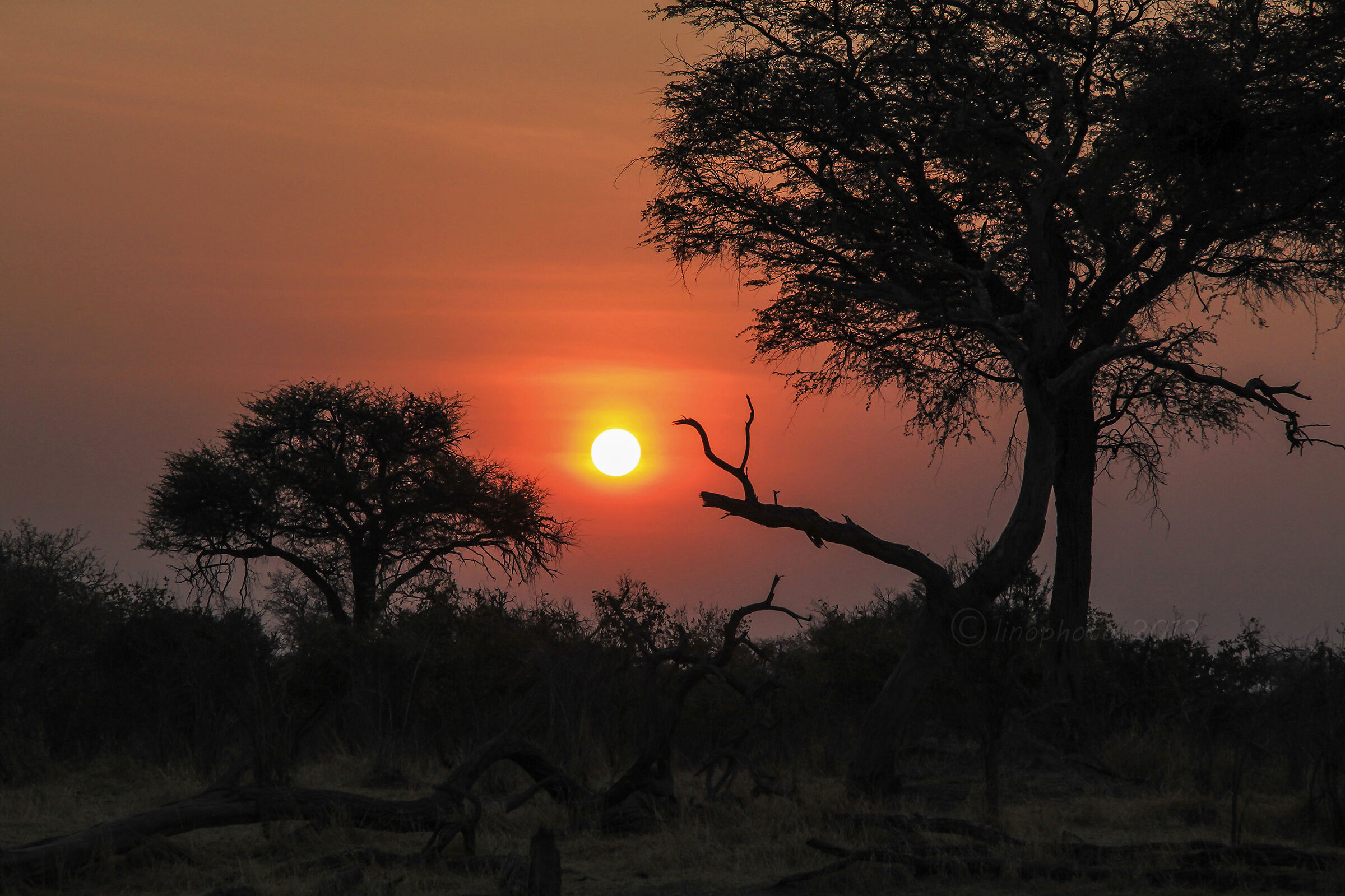 Aspettando il calar del sole nel bush - Botswana