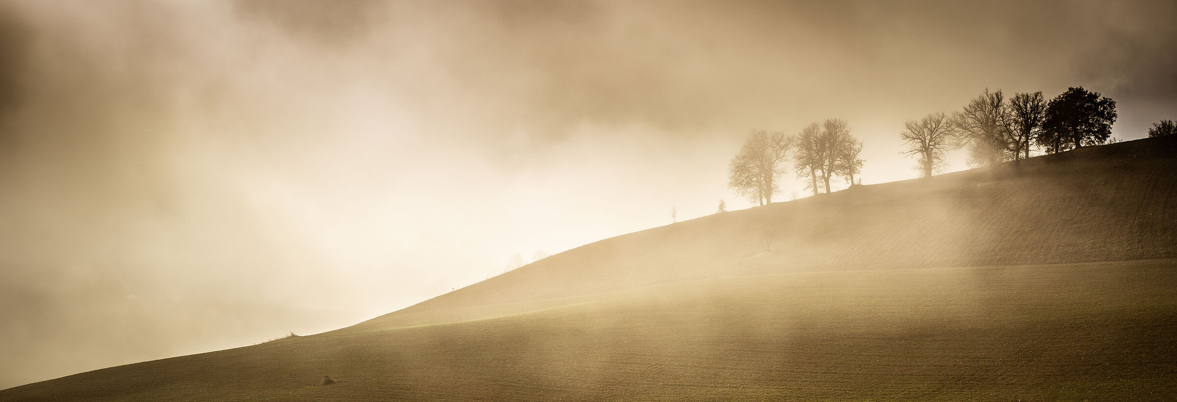 Foggy Hill