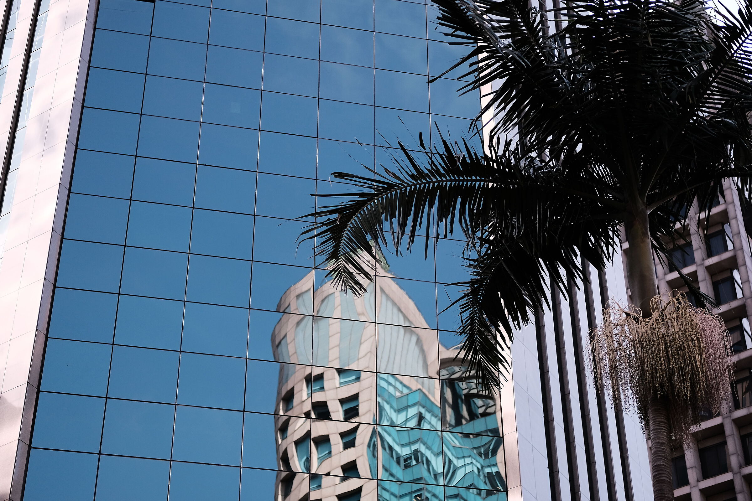 Reflections in São Paulo