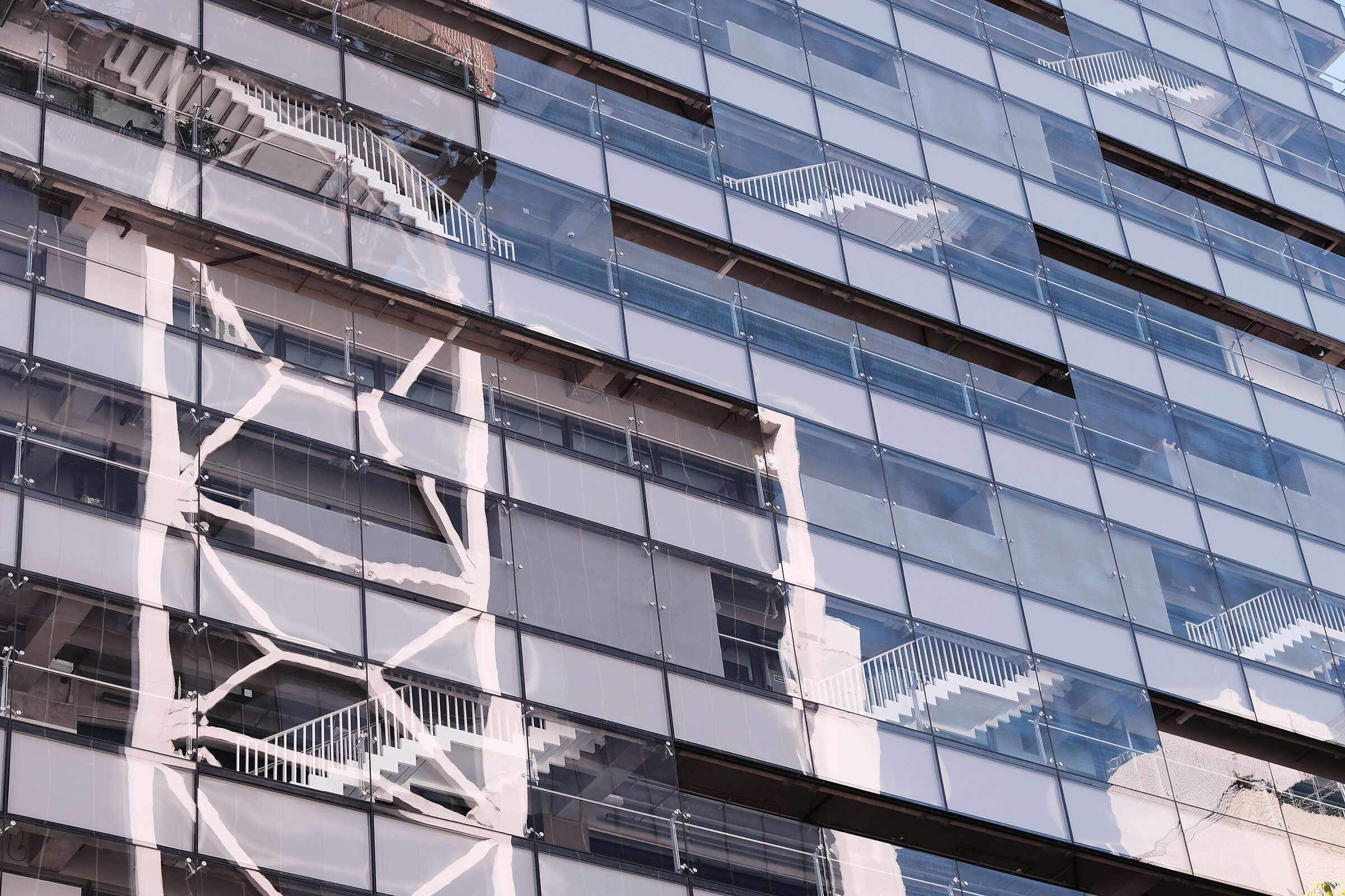 Reflections in São Paulo
