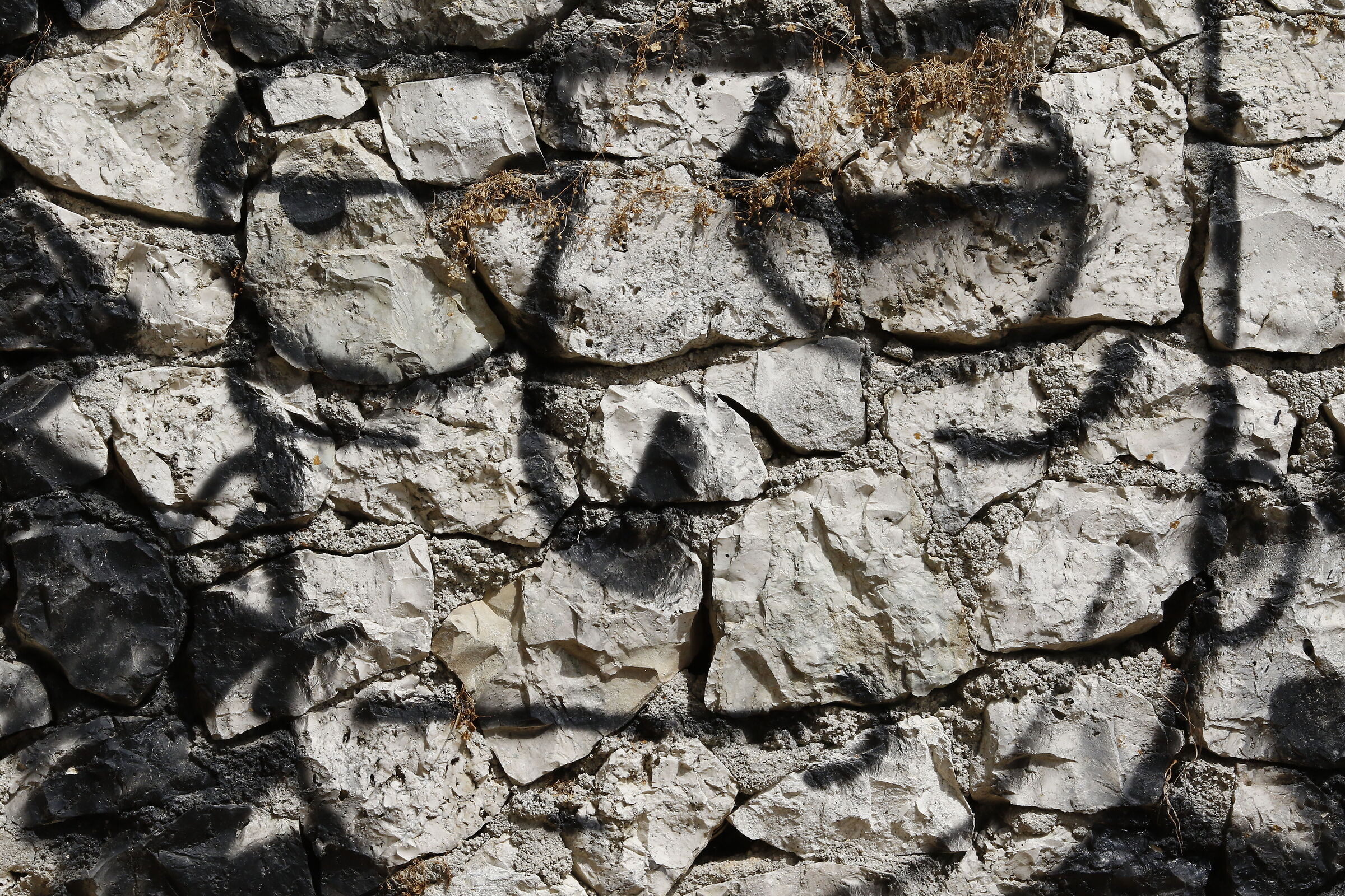 Canon 7d ii / 135, F.2 L