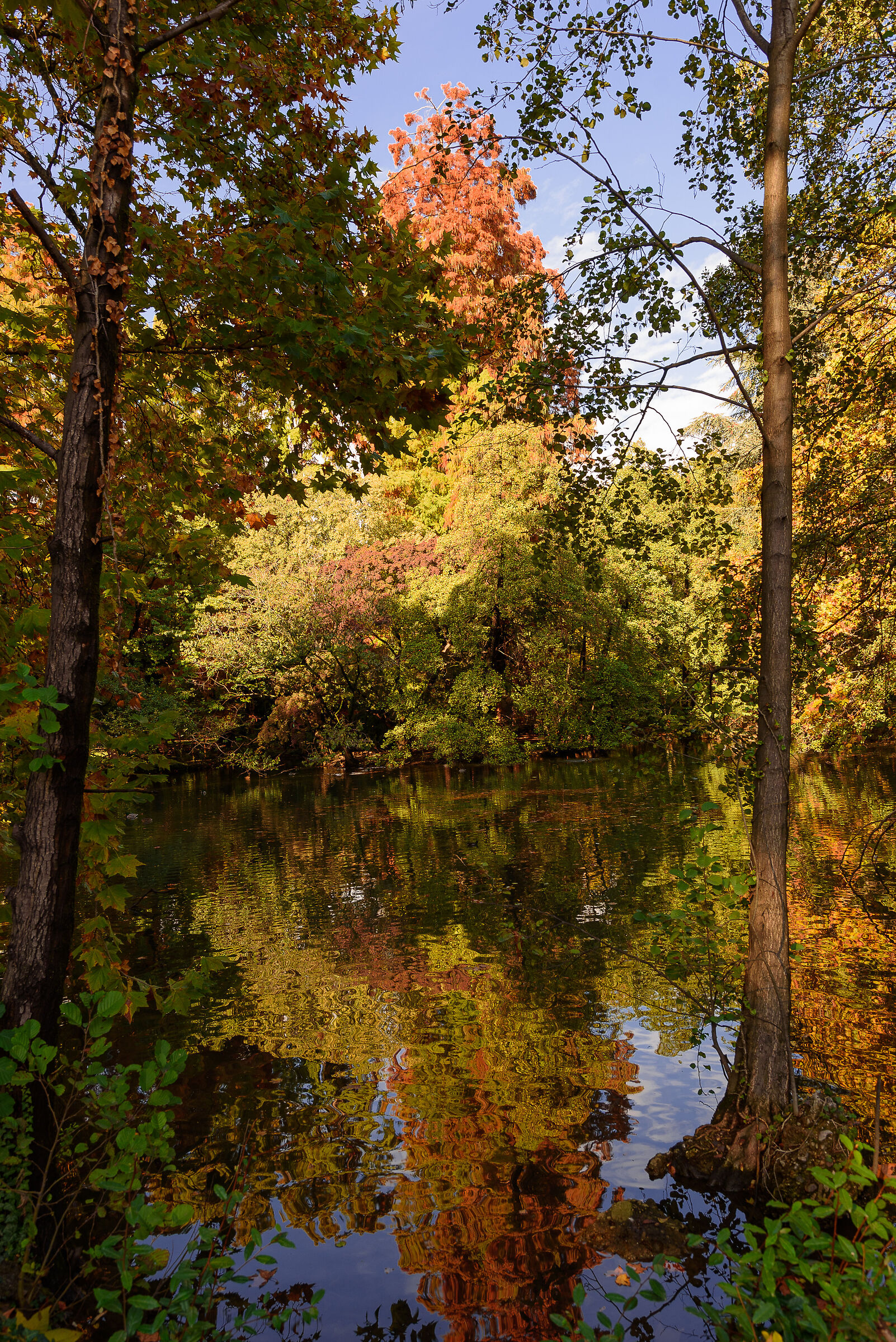 Istantanea autunnale