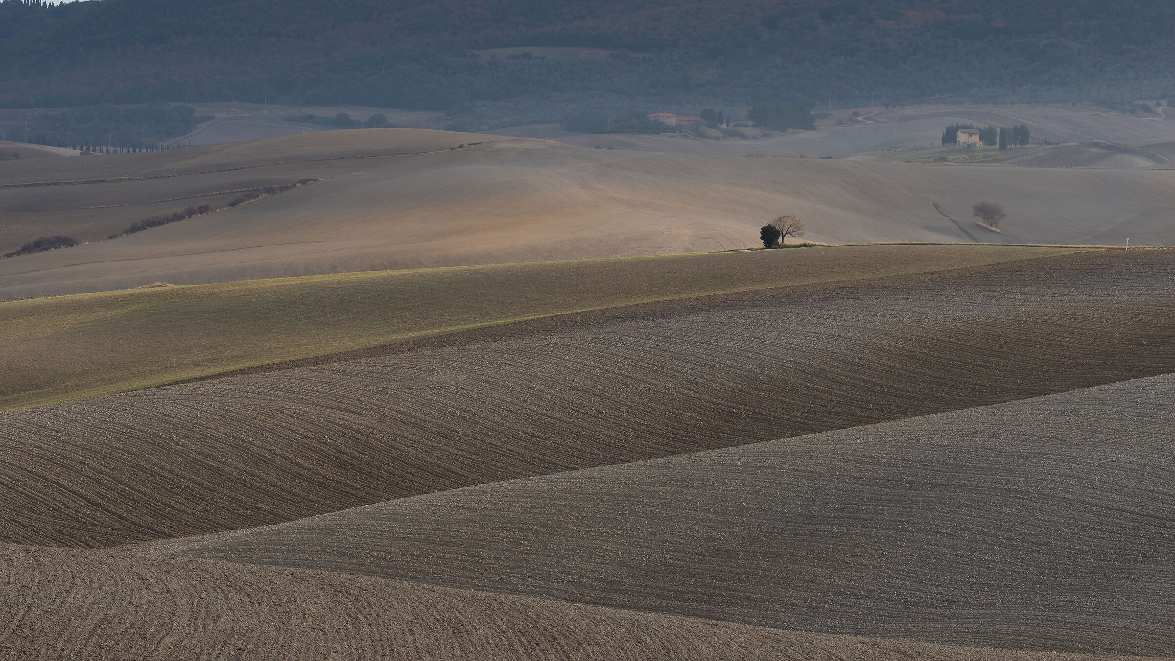 Colline Pisane nei pressi di Orciano