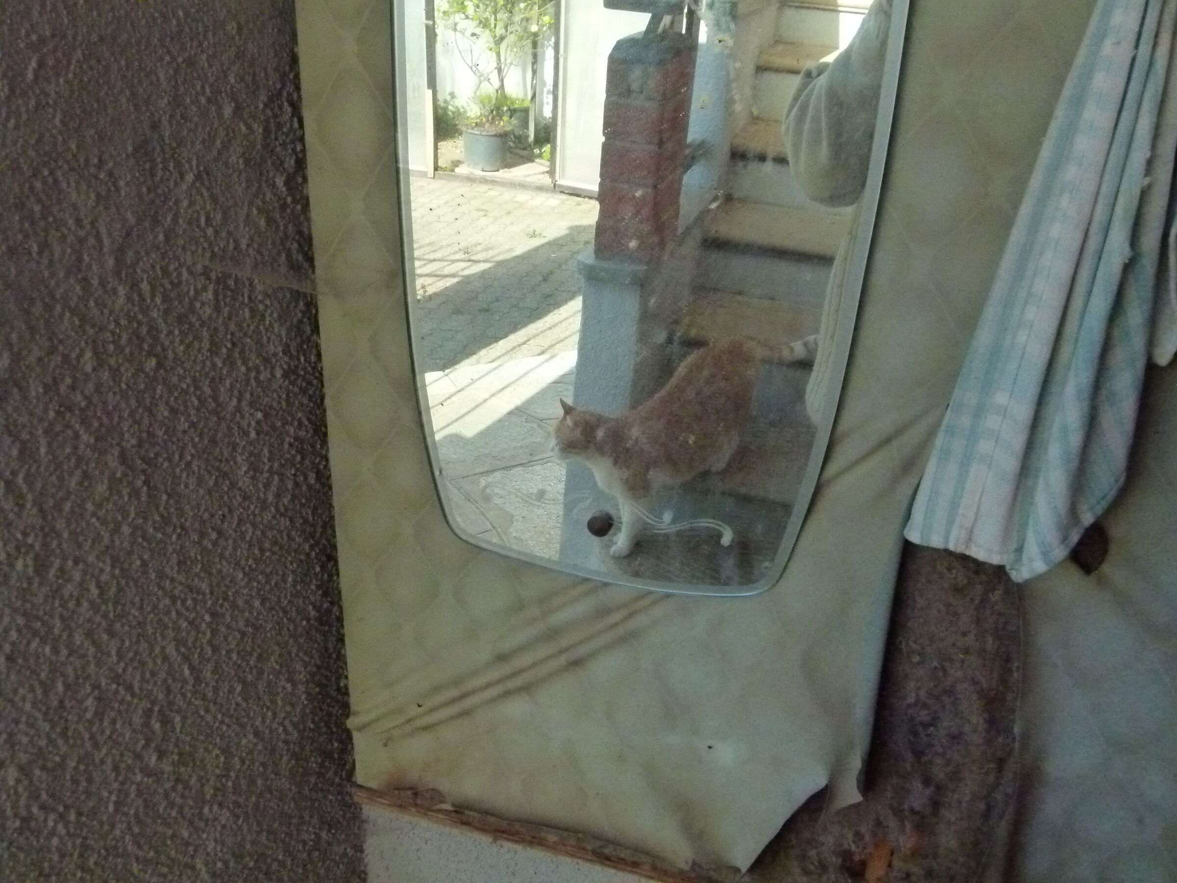 in direzione delle cose