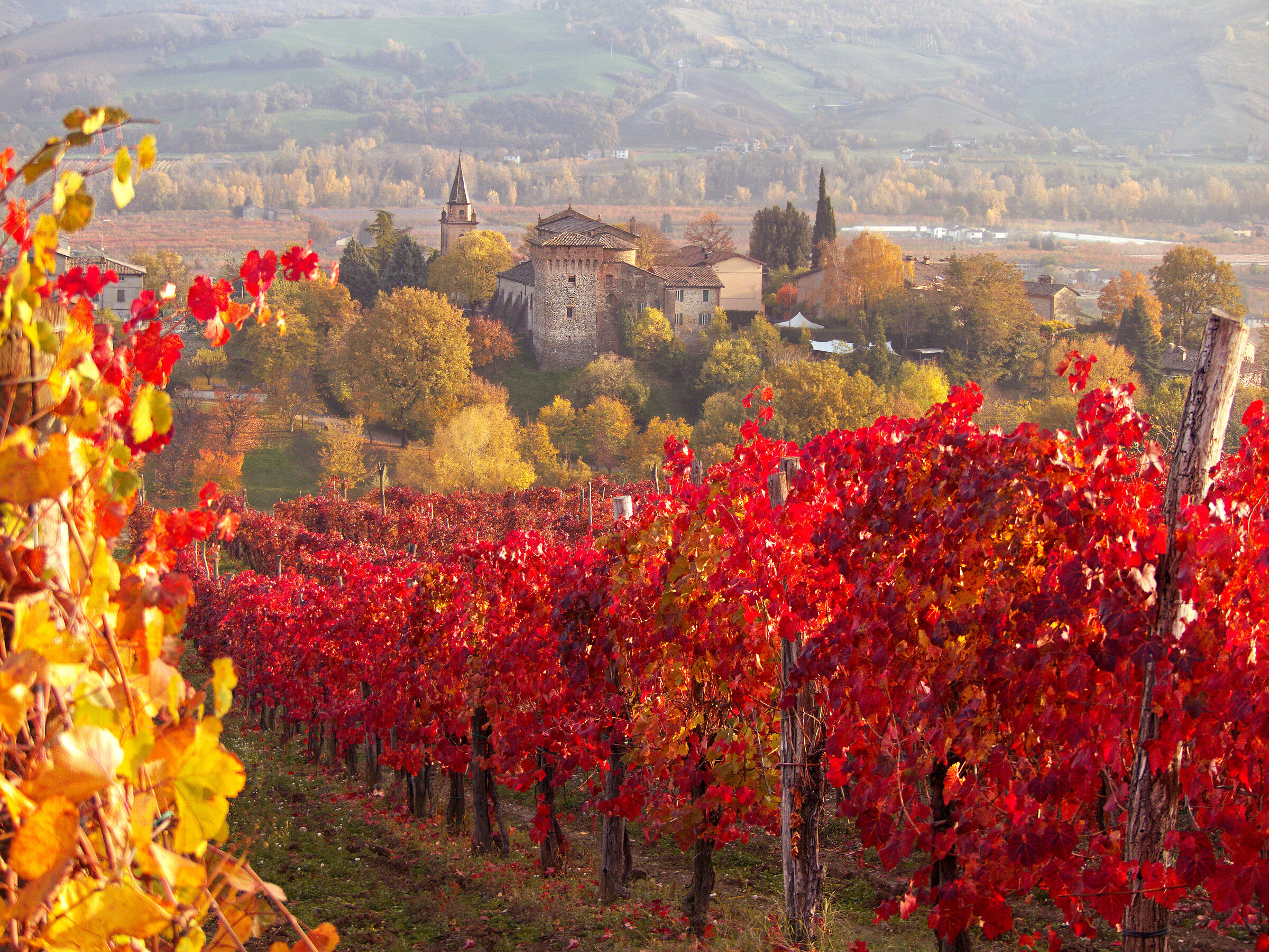 Savignano, autumn shines