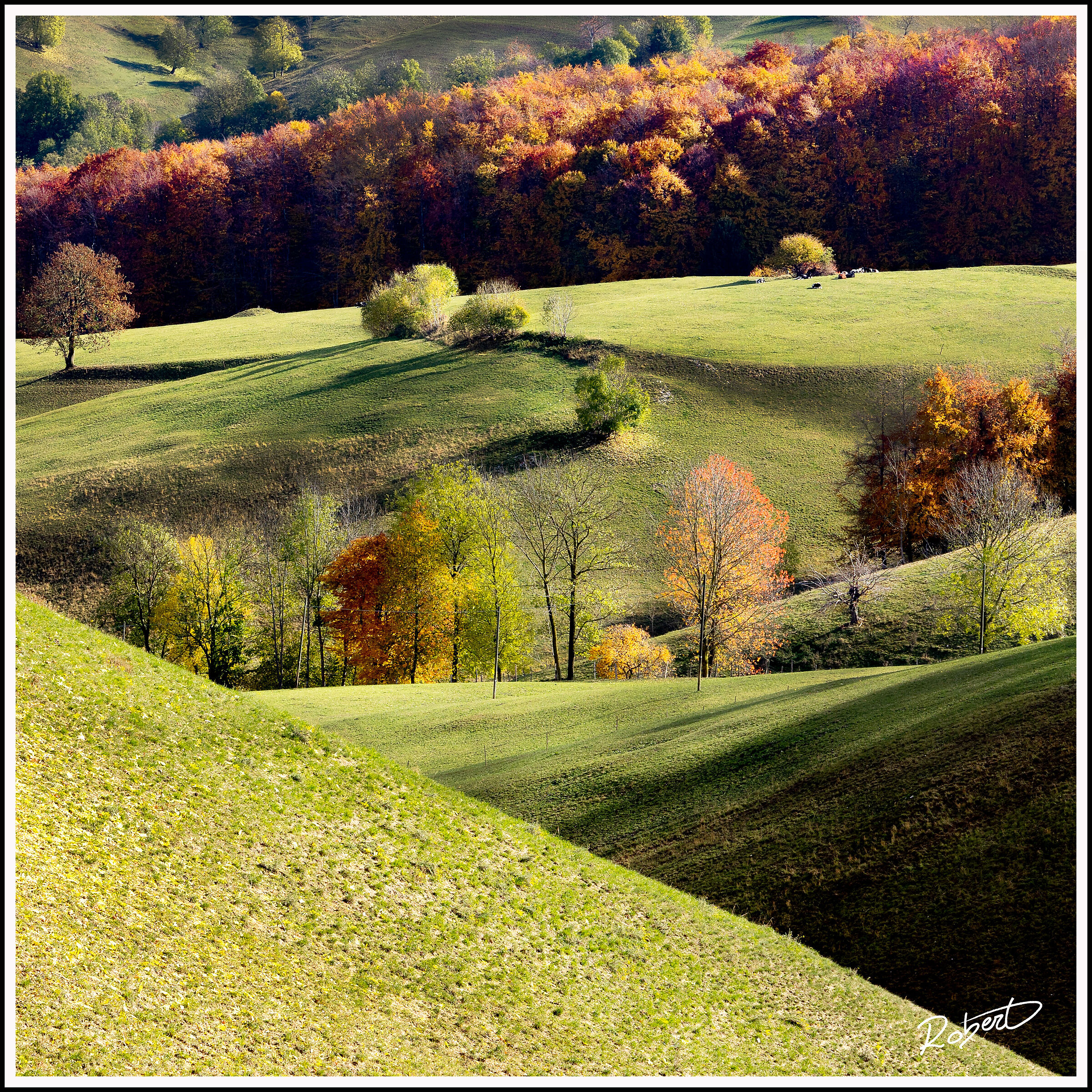 Lessinia