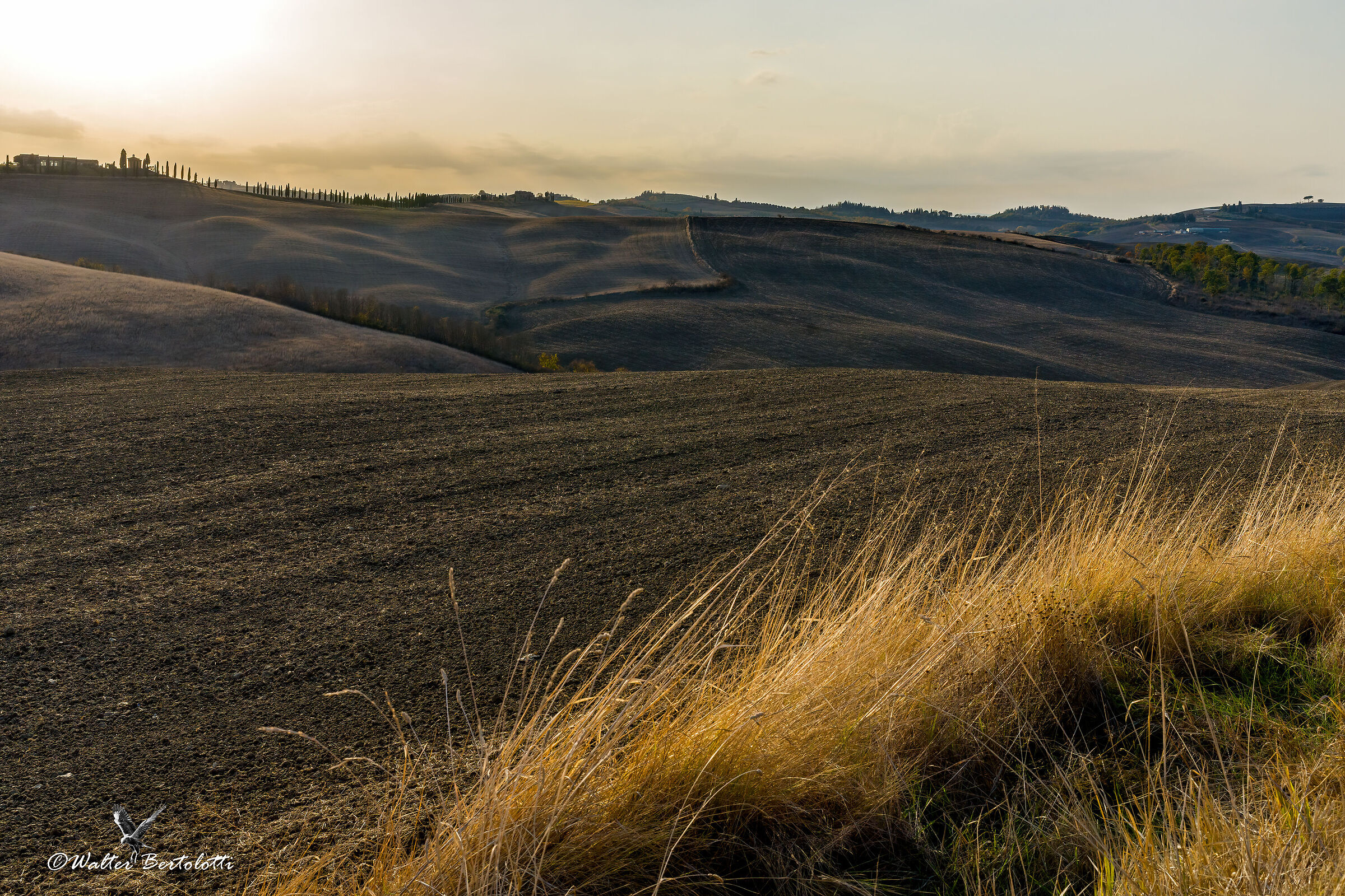 si prospetta un bel tramonto