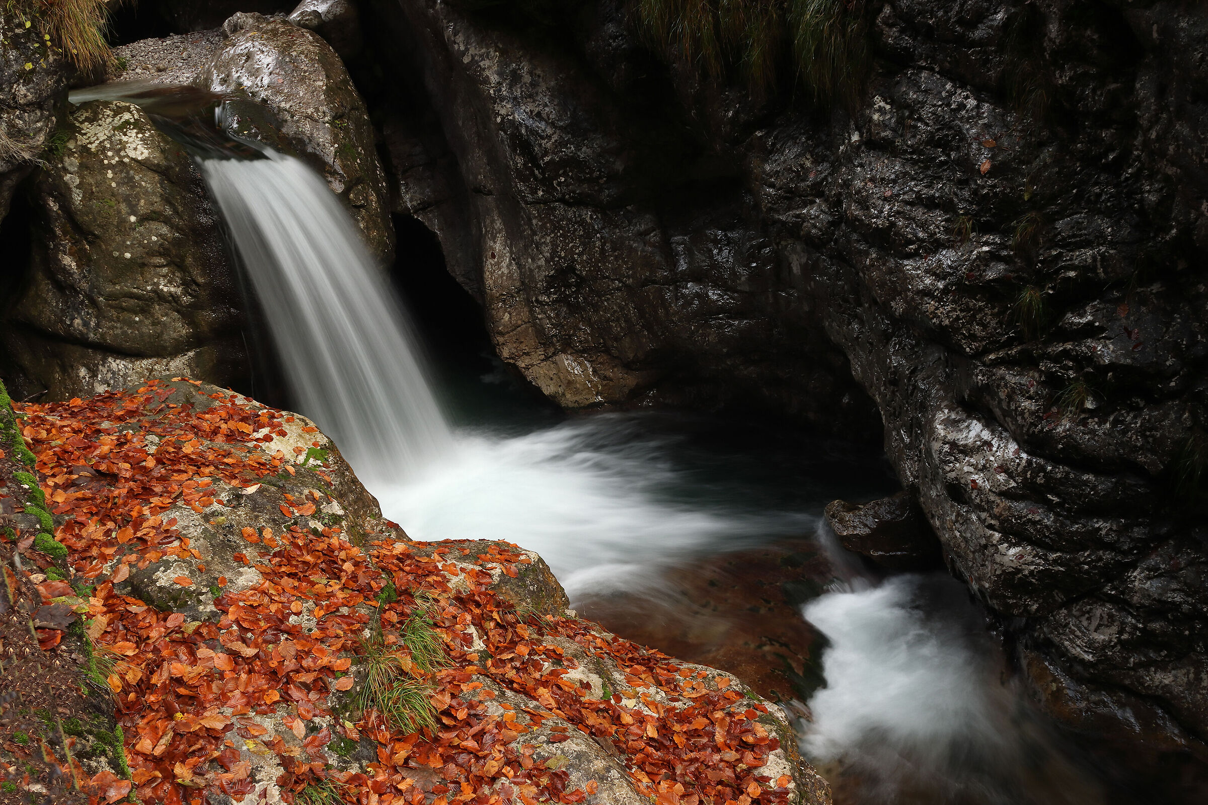 V A L V E R T O V A  - autunno -