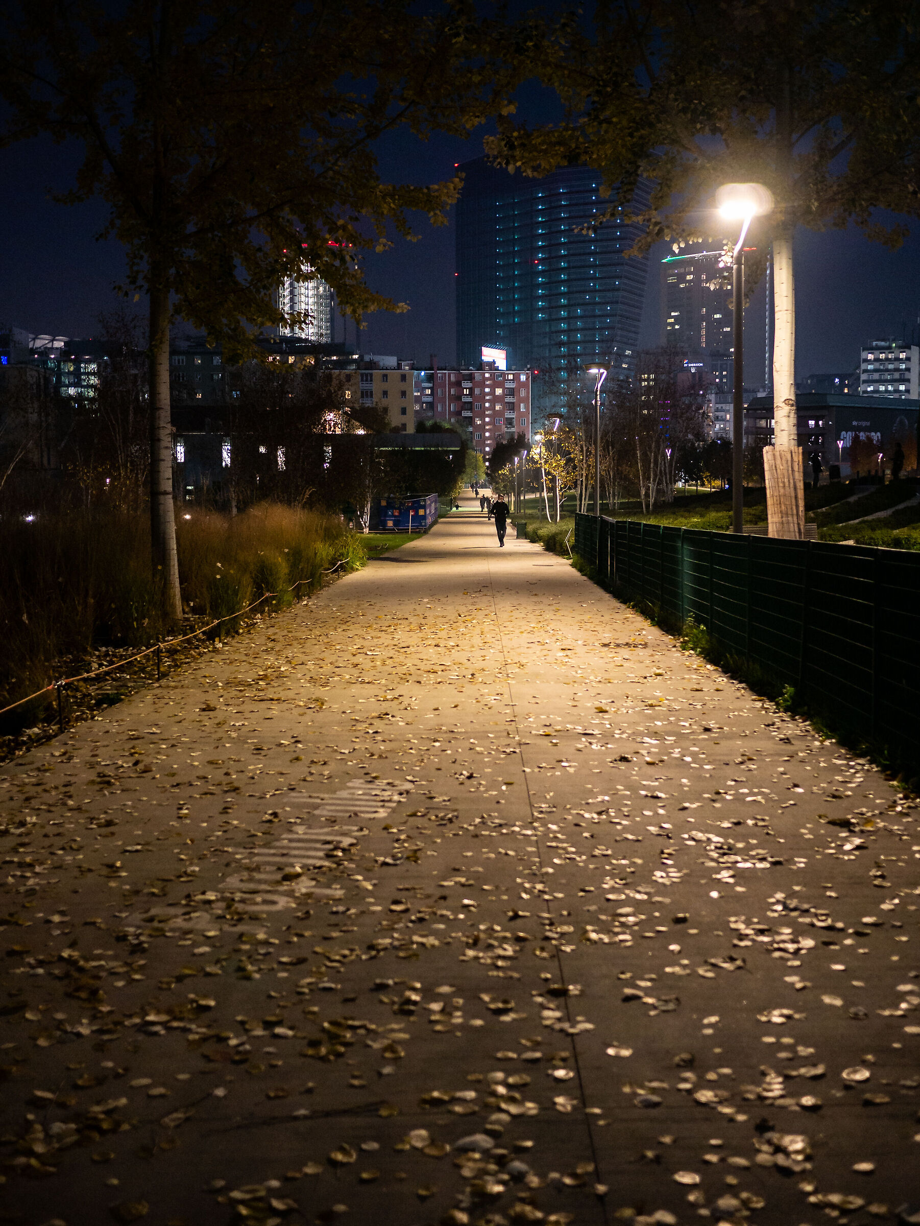 Tree Library - Milan