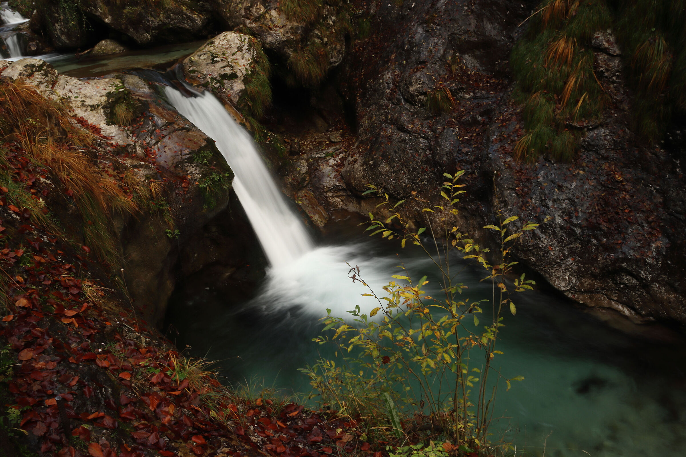 V A L V E R T O V A  - nel canyon -