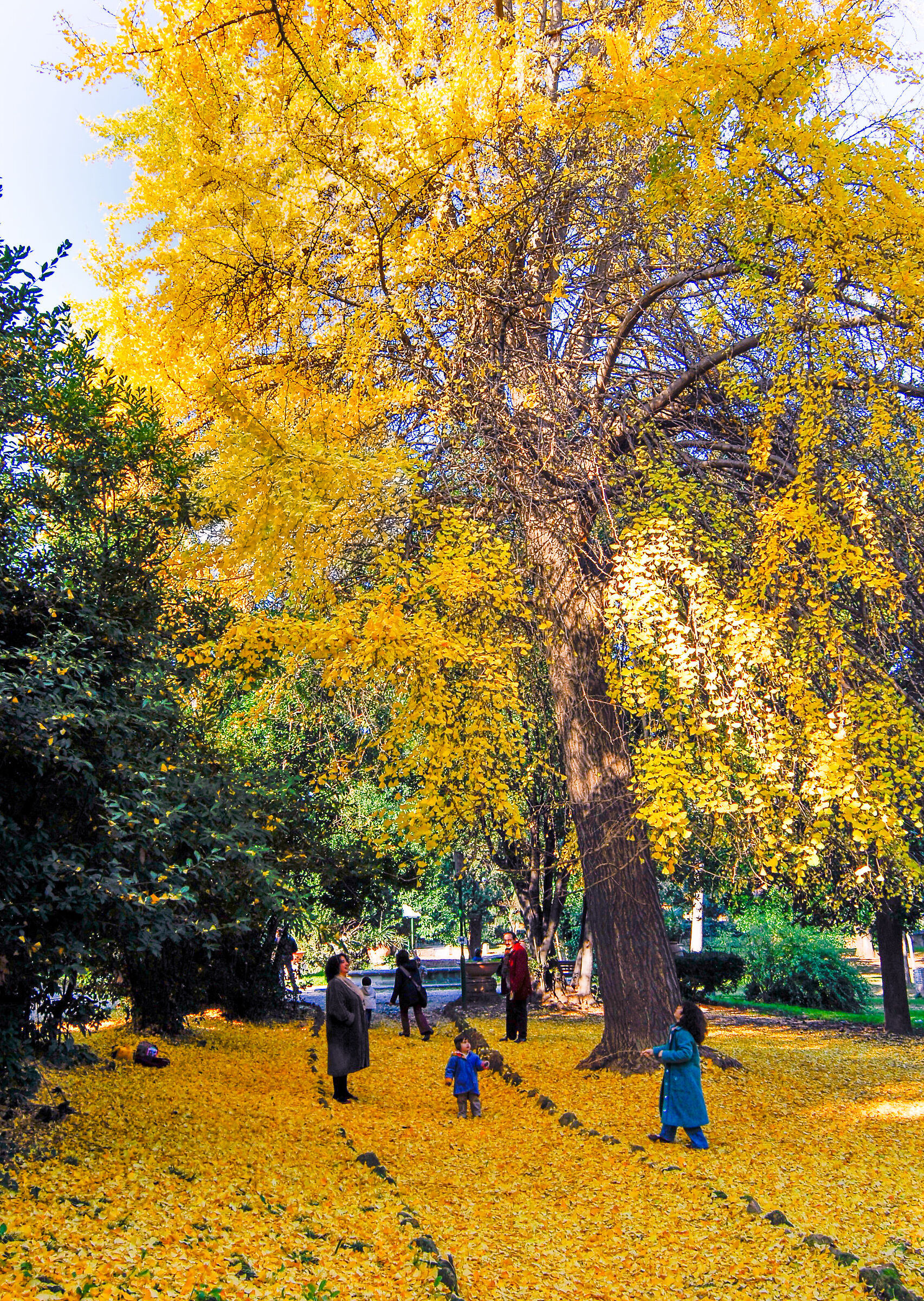Rome-Autumn magic at the Pincio