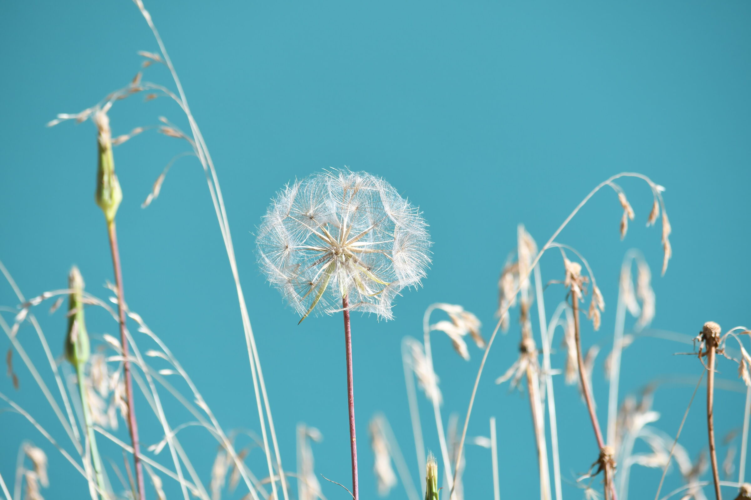 Leggerezze Nell' Azzurro