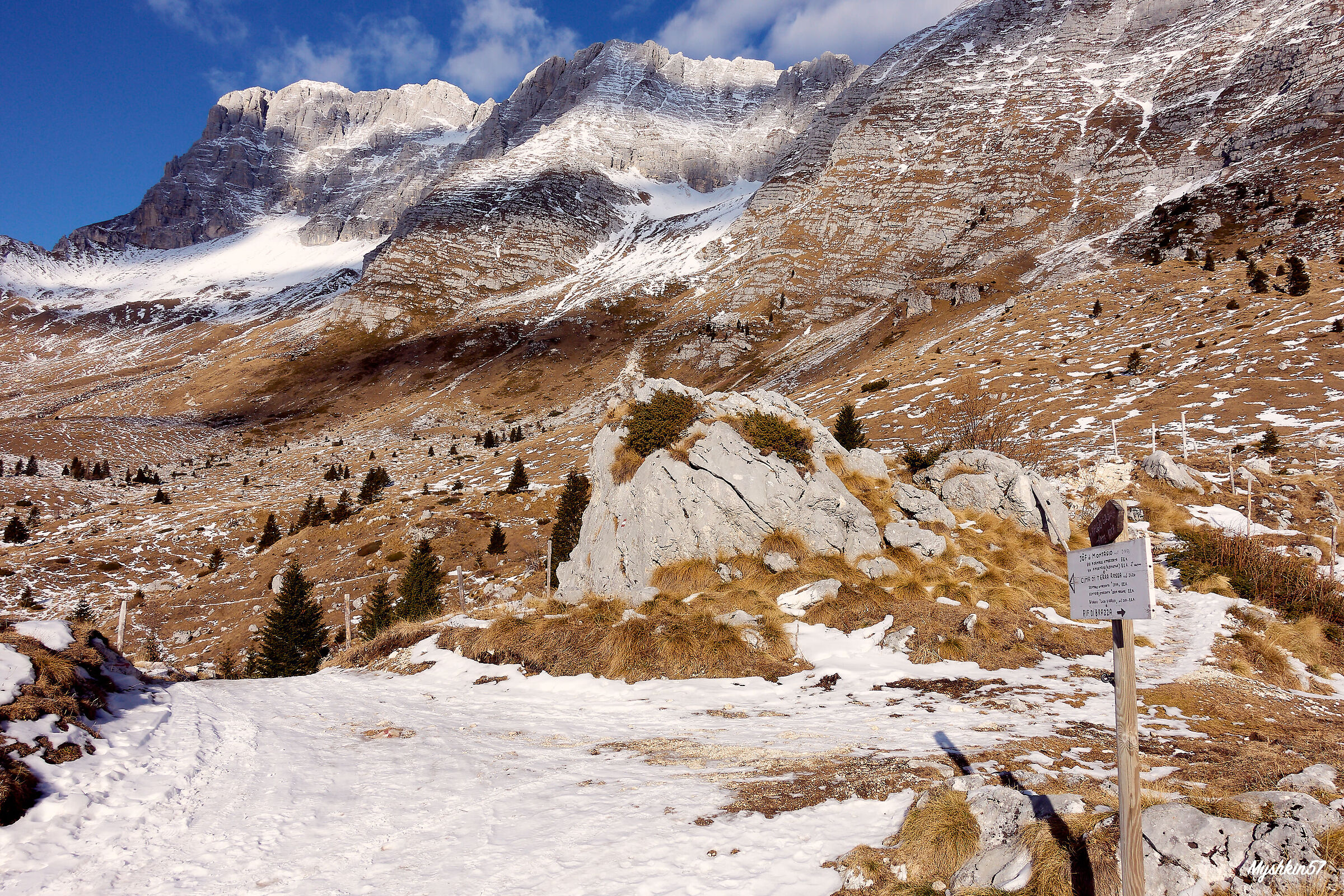 Altopiano del Montasio