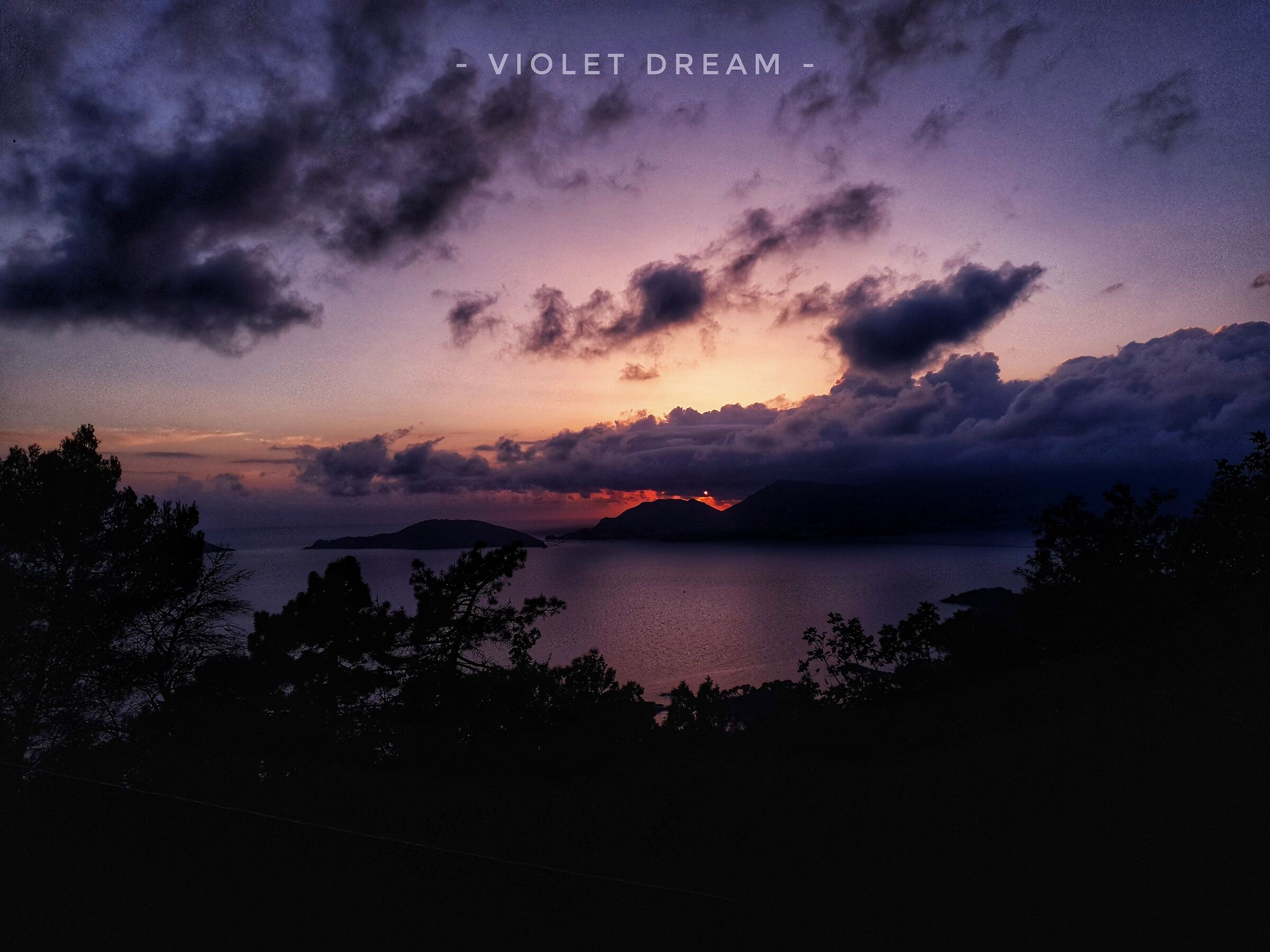 Violet dream