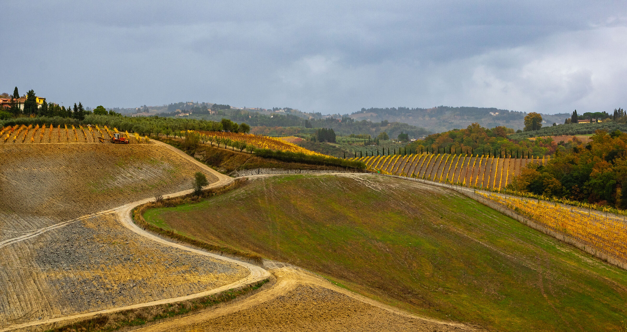dintorni di Certaldo (FI)