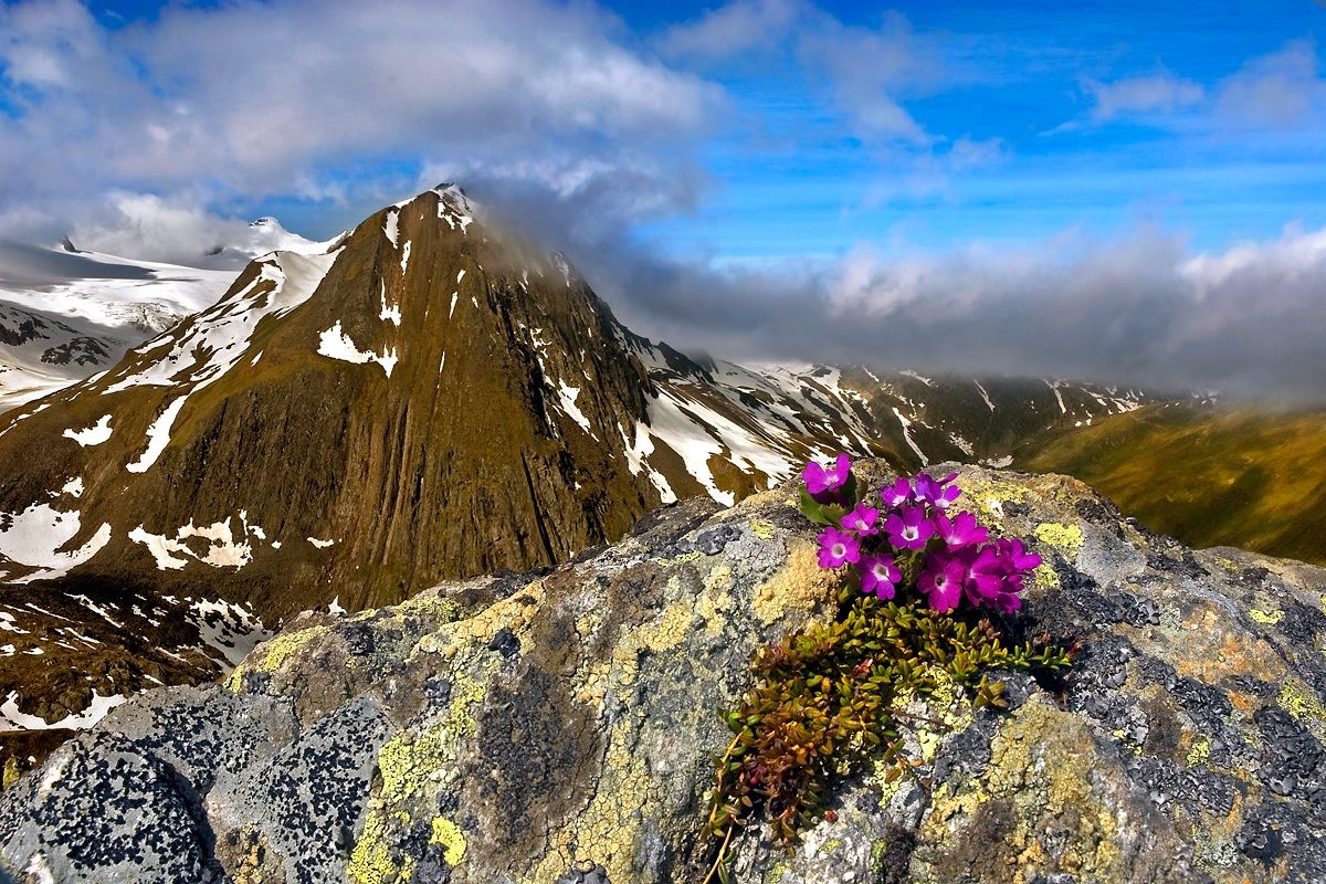 Veduta dal Passo della Novena