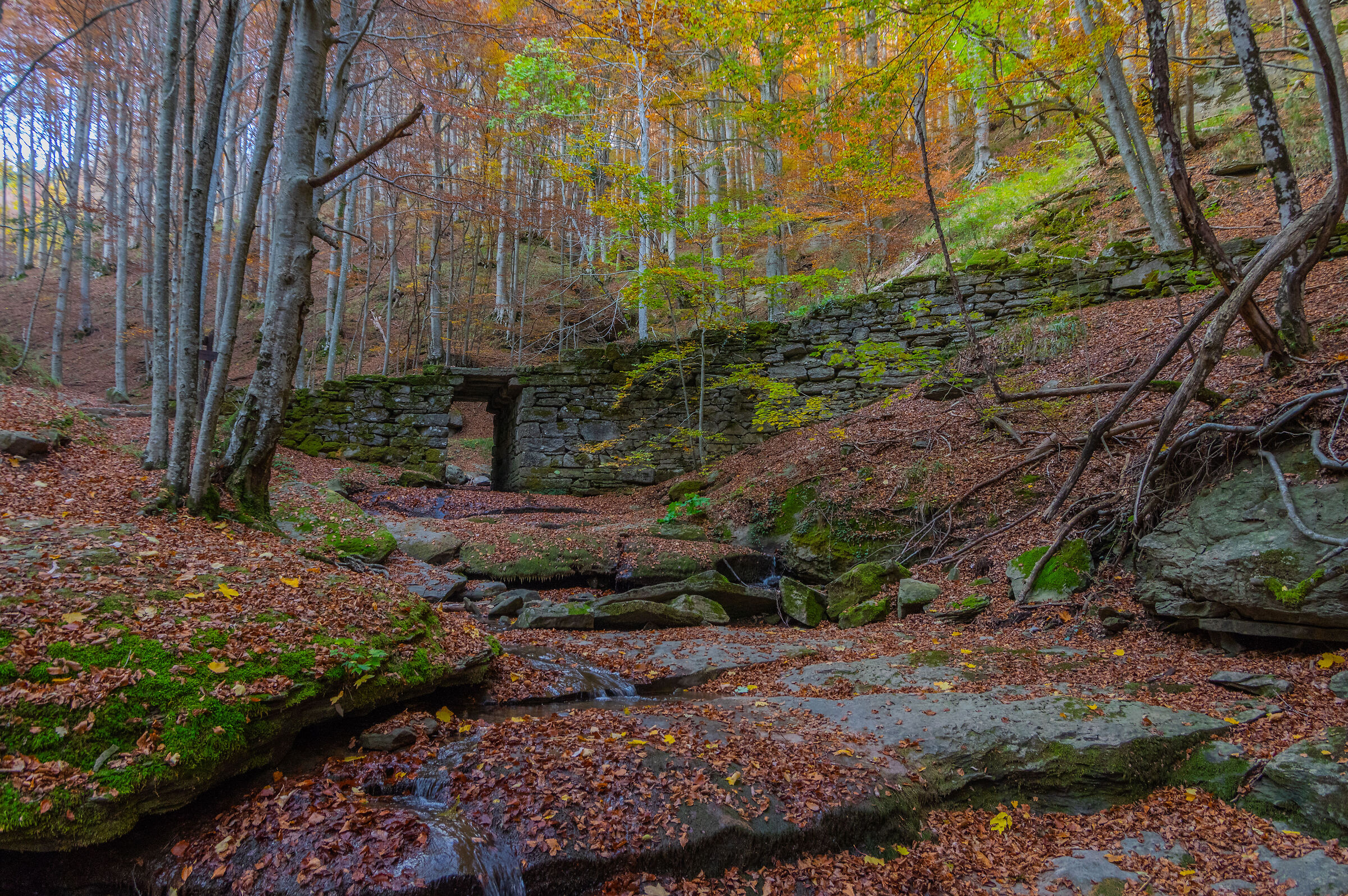 dint Moggiona (AR) - Italy