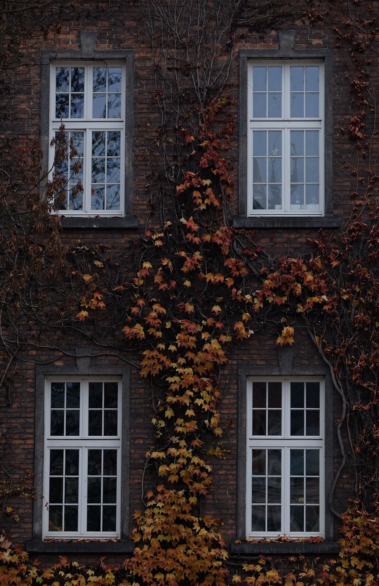 Bricks and Leaves