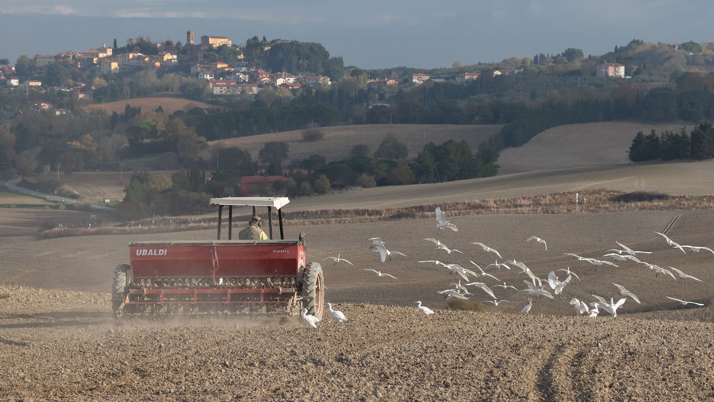 Pisan hills in the direction of Lorenzana