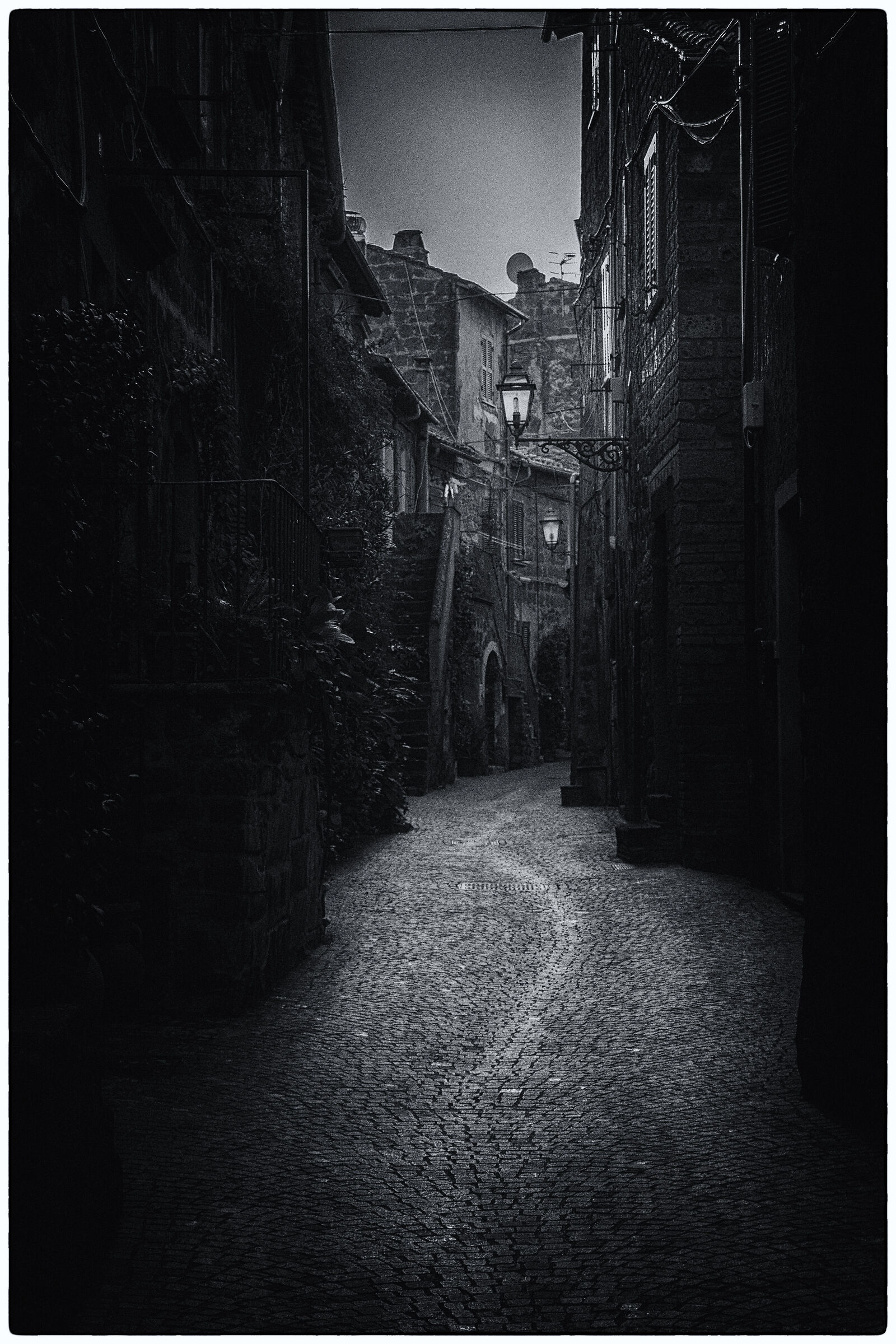 Untitled Photo