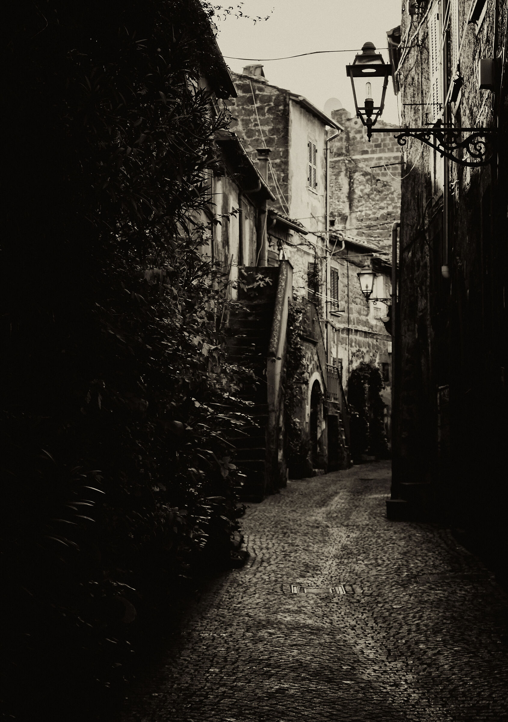 Untitled Photo