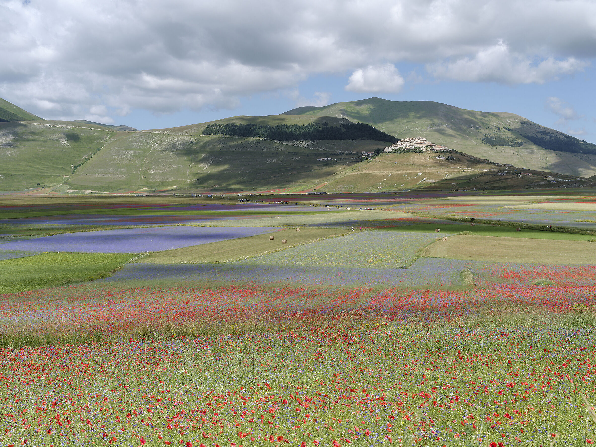 ricordando castelluccio