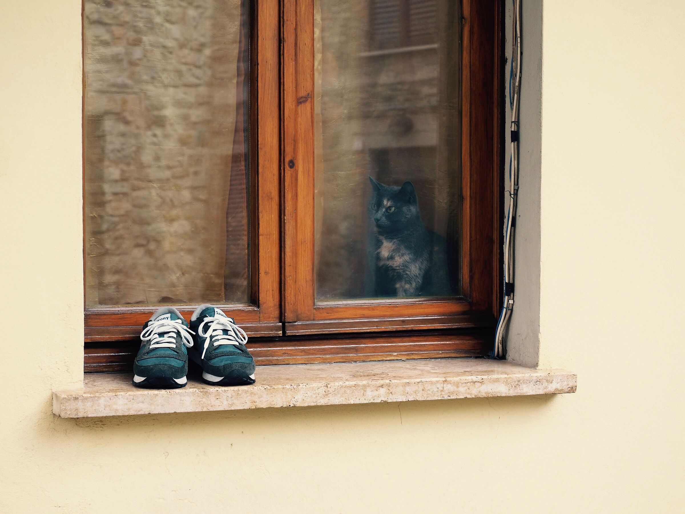Il gatto con le scarpe da ginnastica