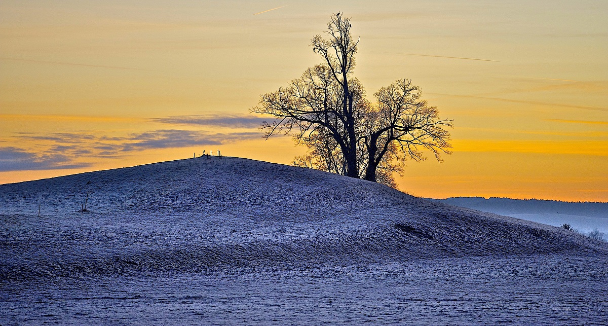 la mattina presto due