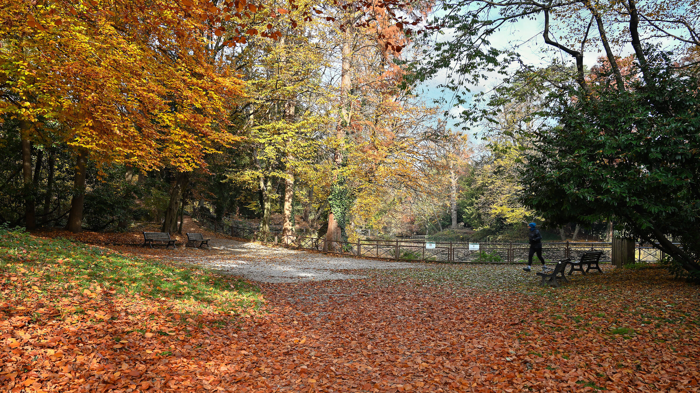Monza Park