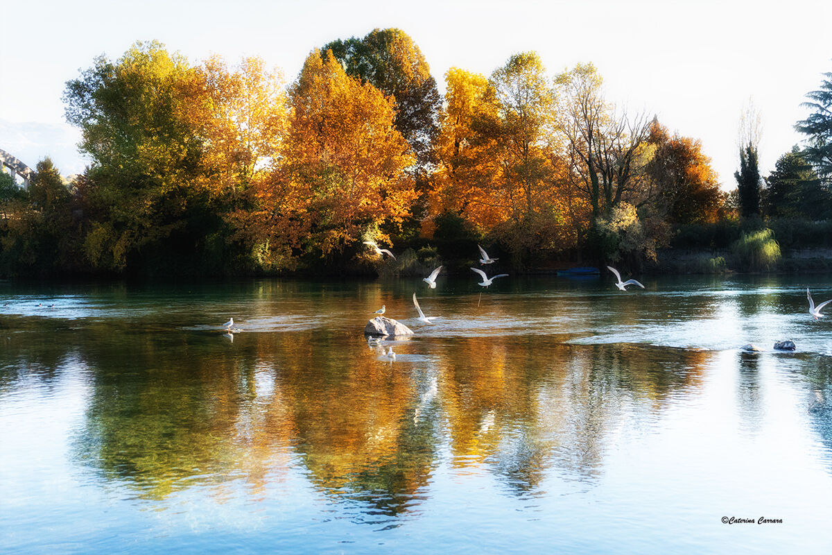 Un mattino d'autunno.