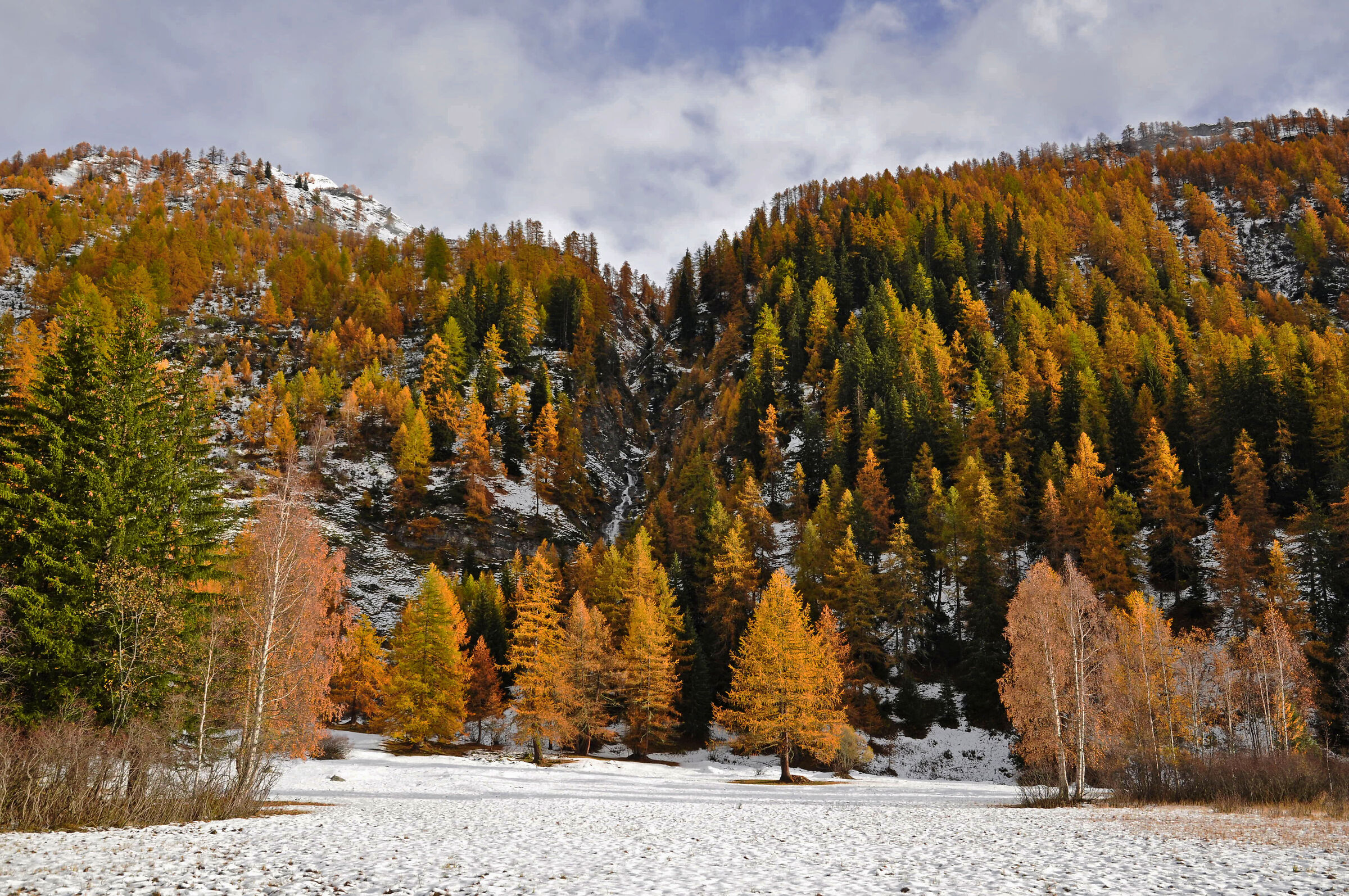 Colori d autunno