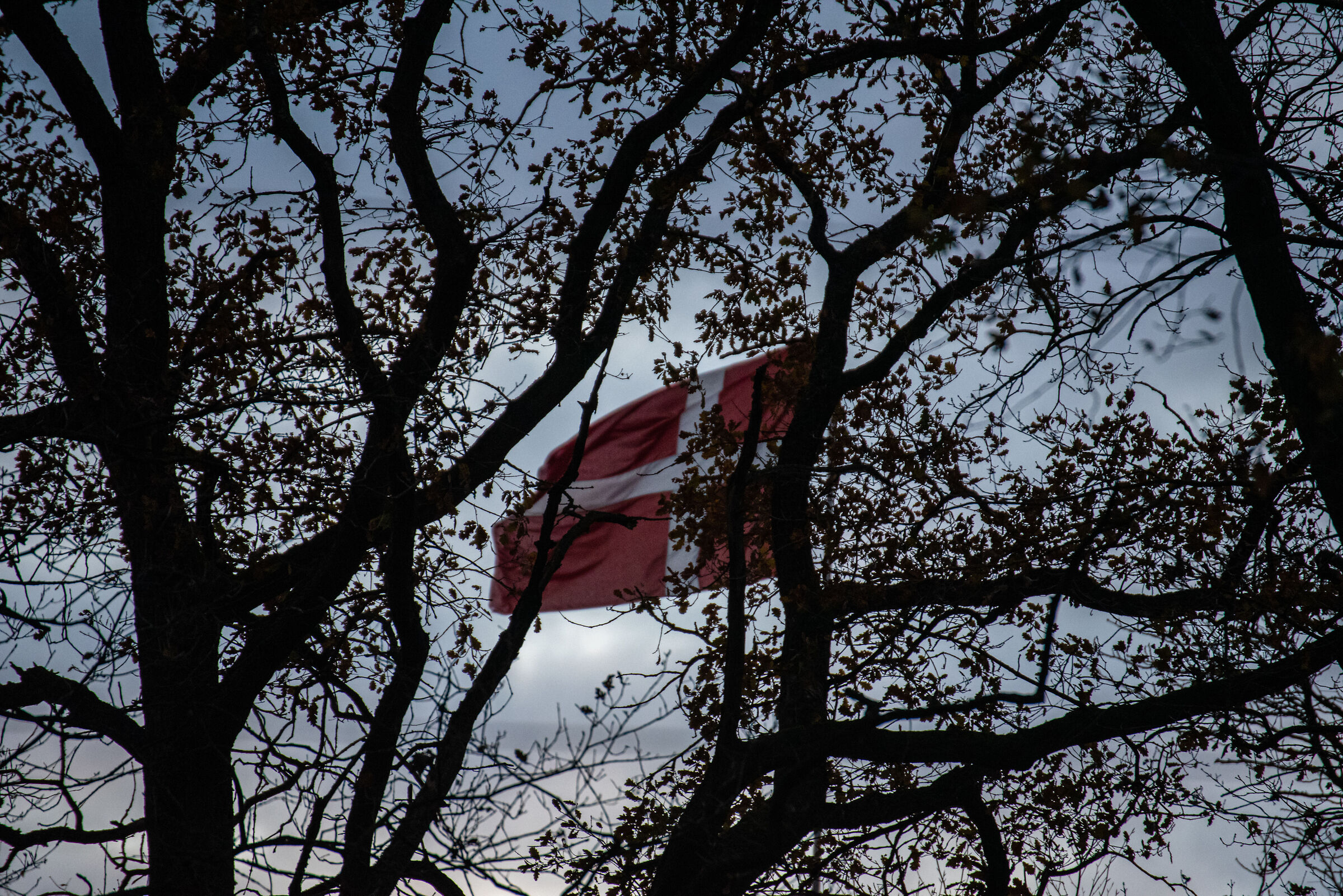 Danmark
