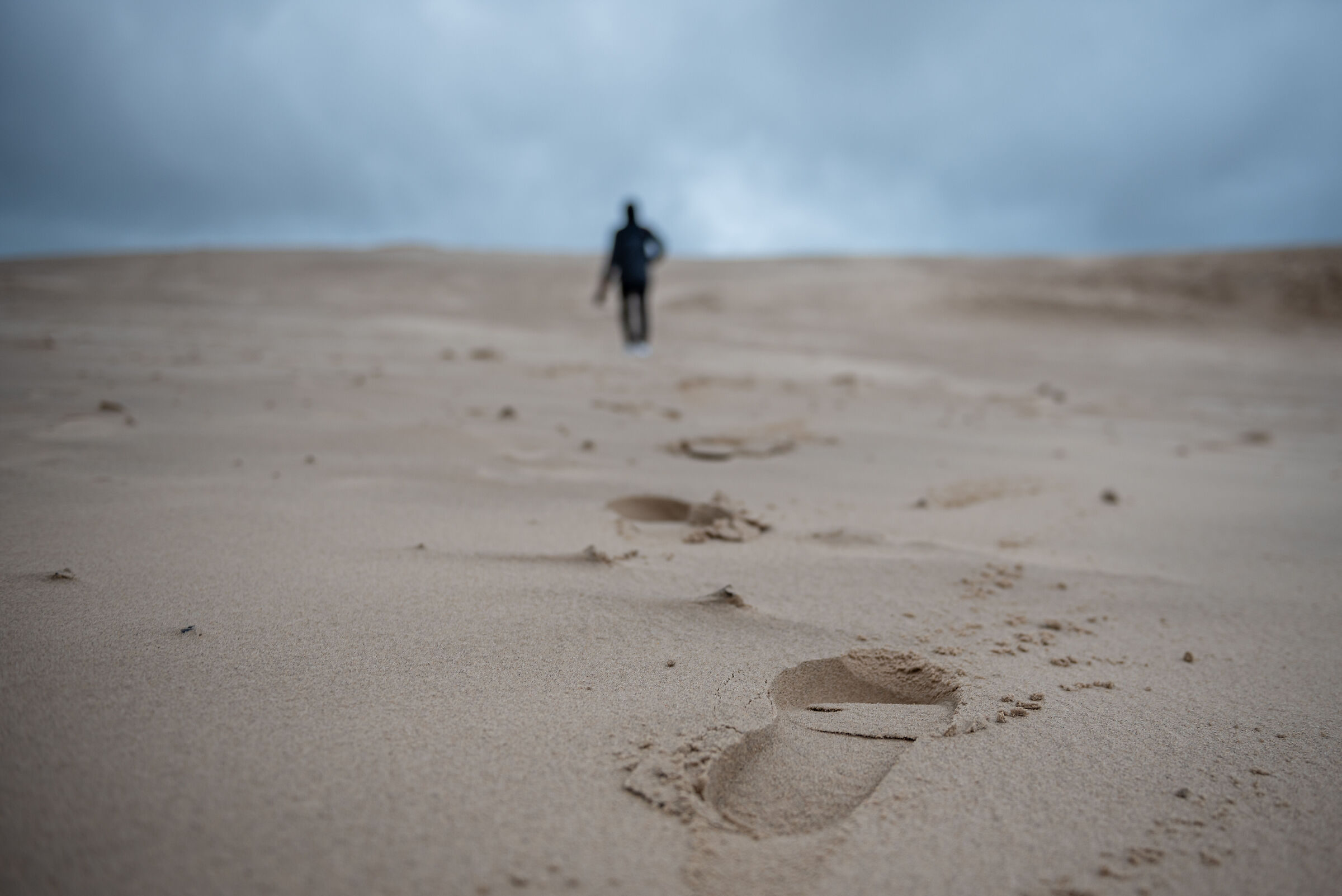 lost in the desert