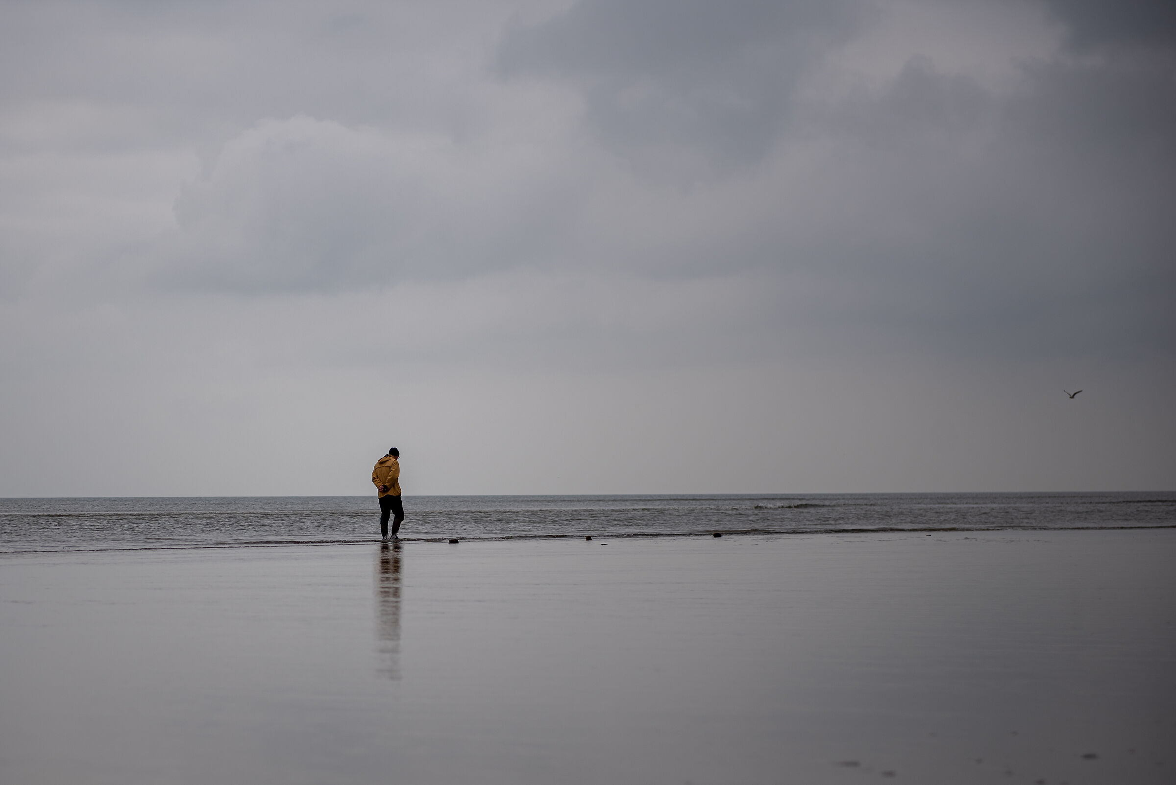low tide