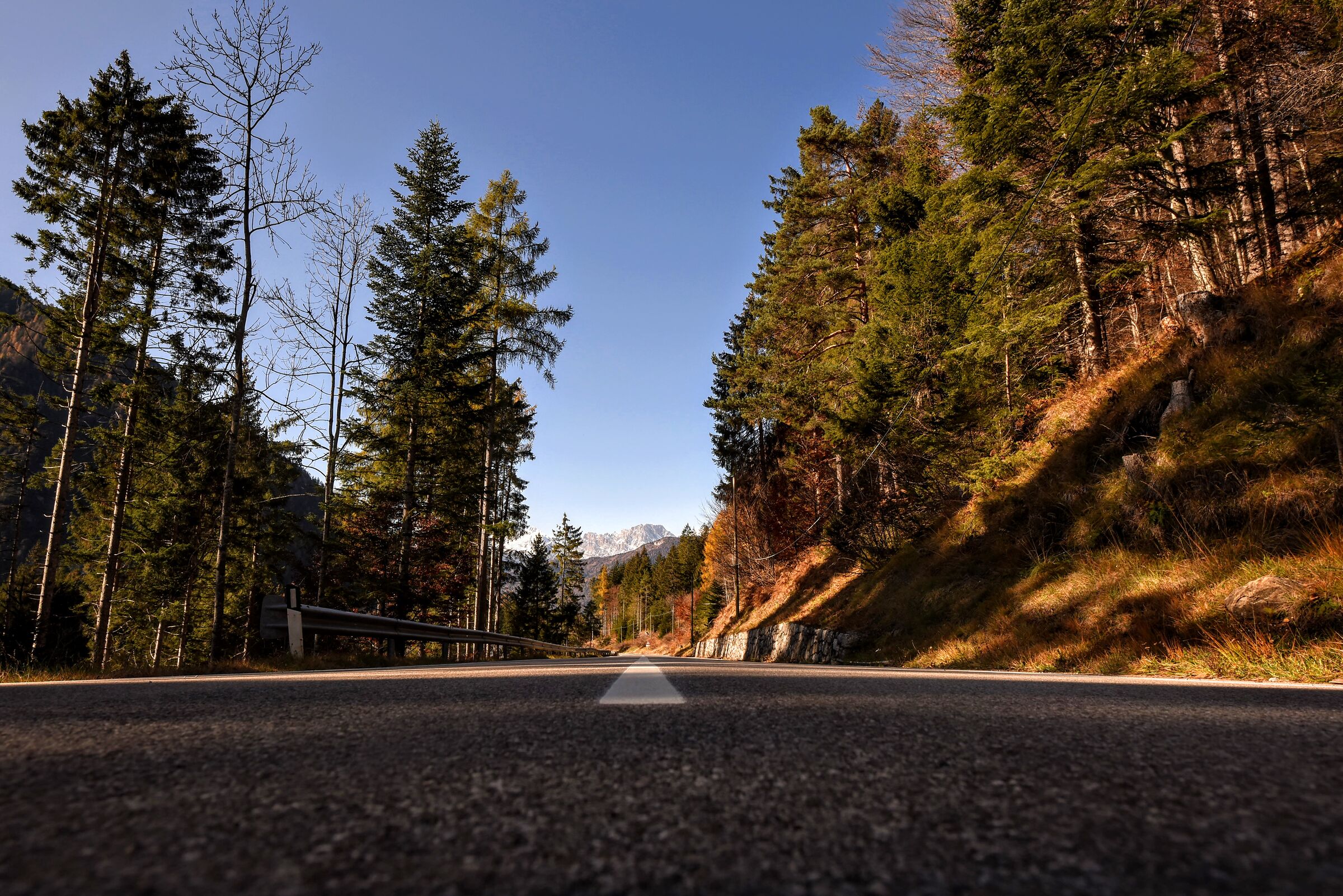 What's around Lorenzago di Cadore