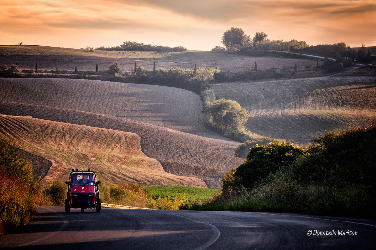 Campagna Pisana