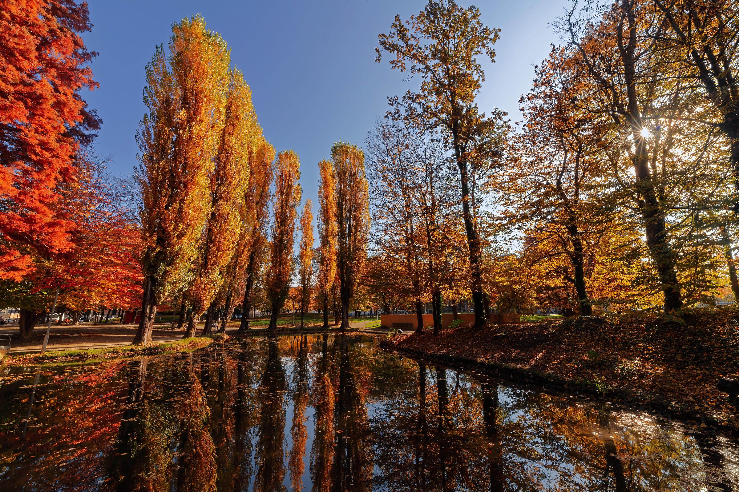 The colors of the park