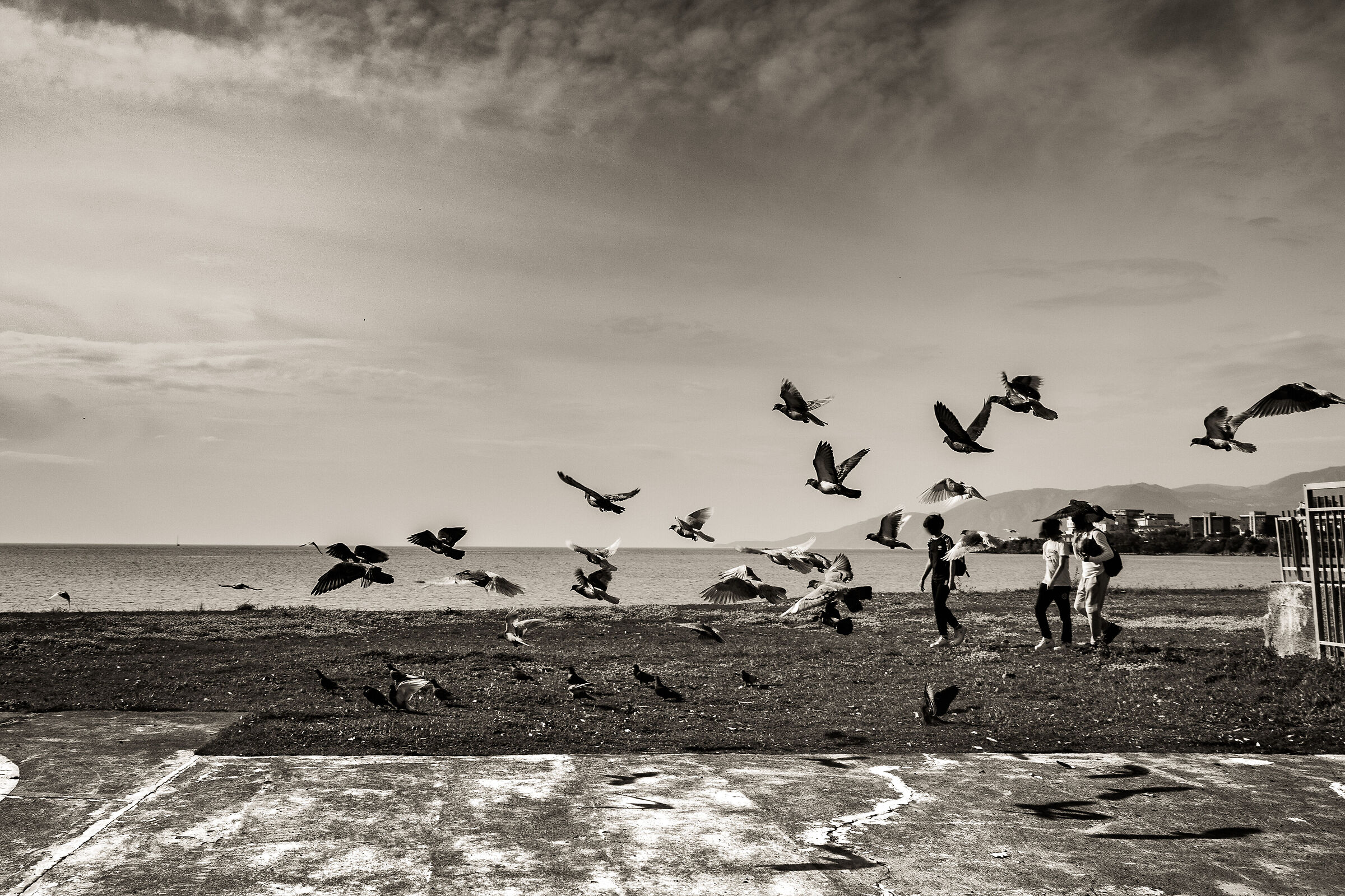 Untitled Photo